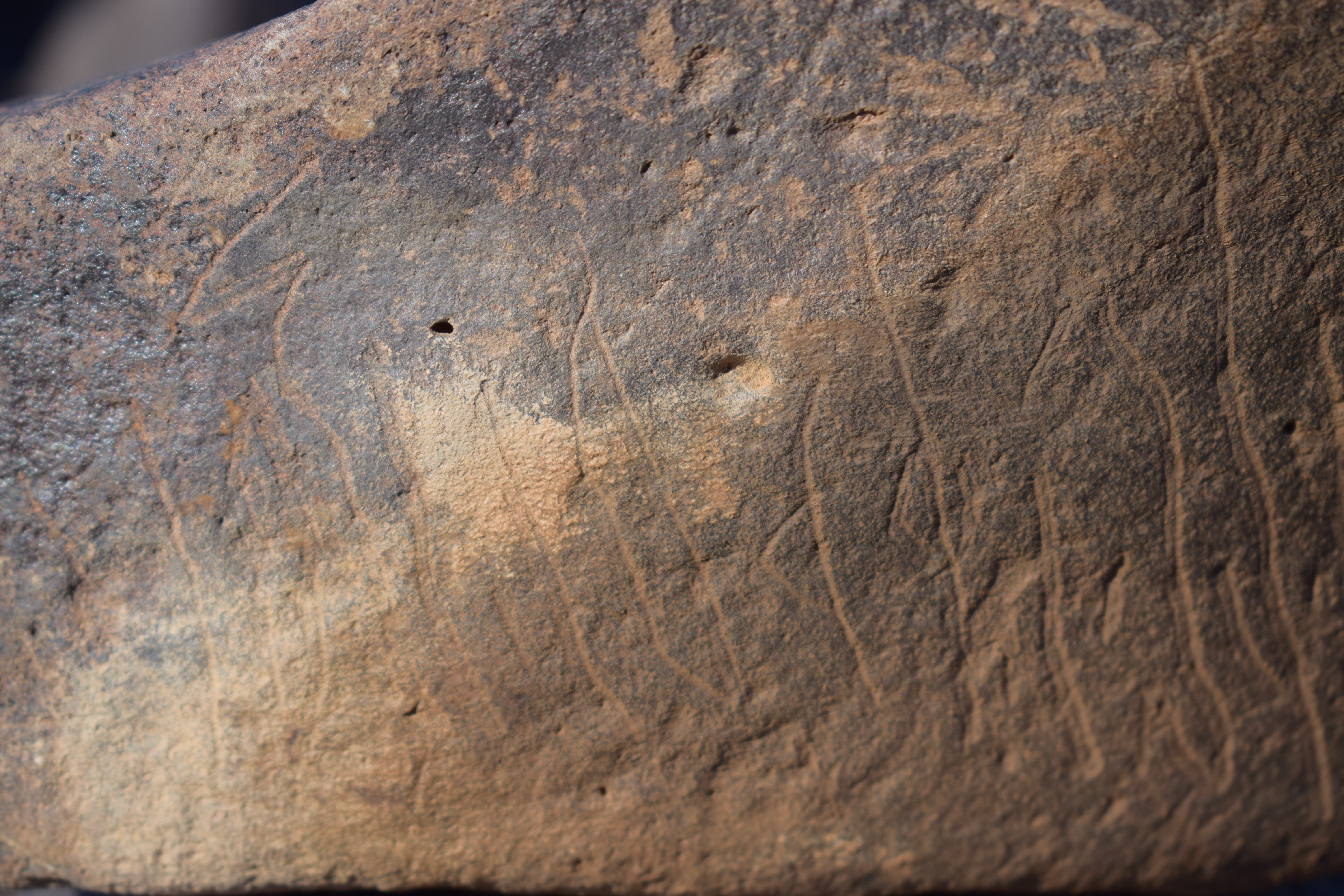 Image of siglum BES20 1631