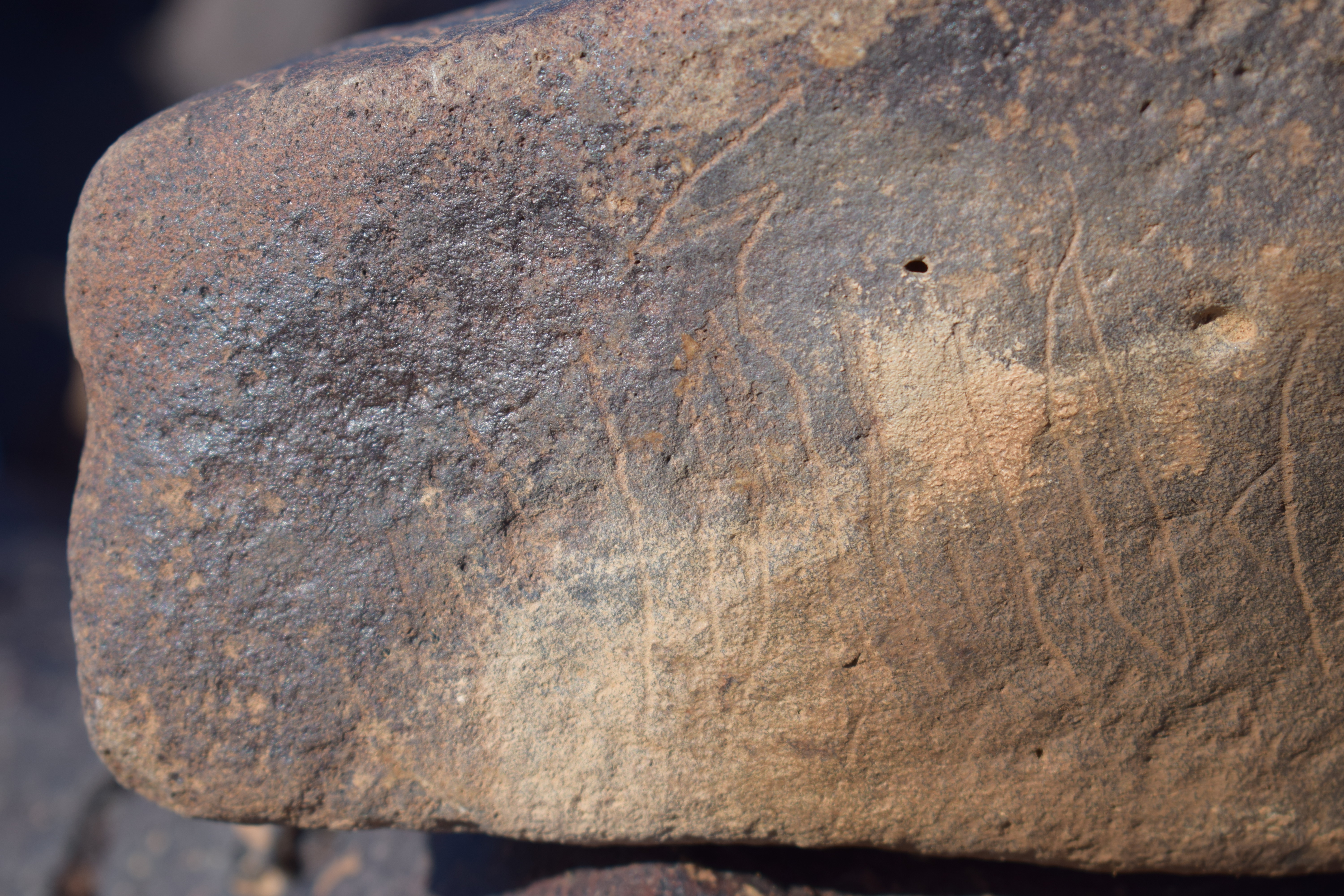 Image of siglum BES20 1631