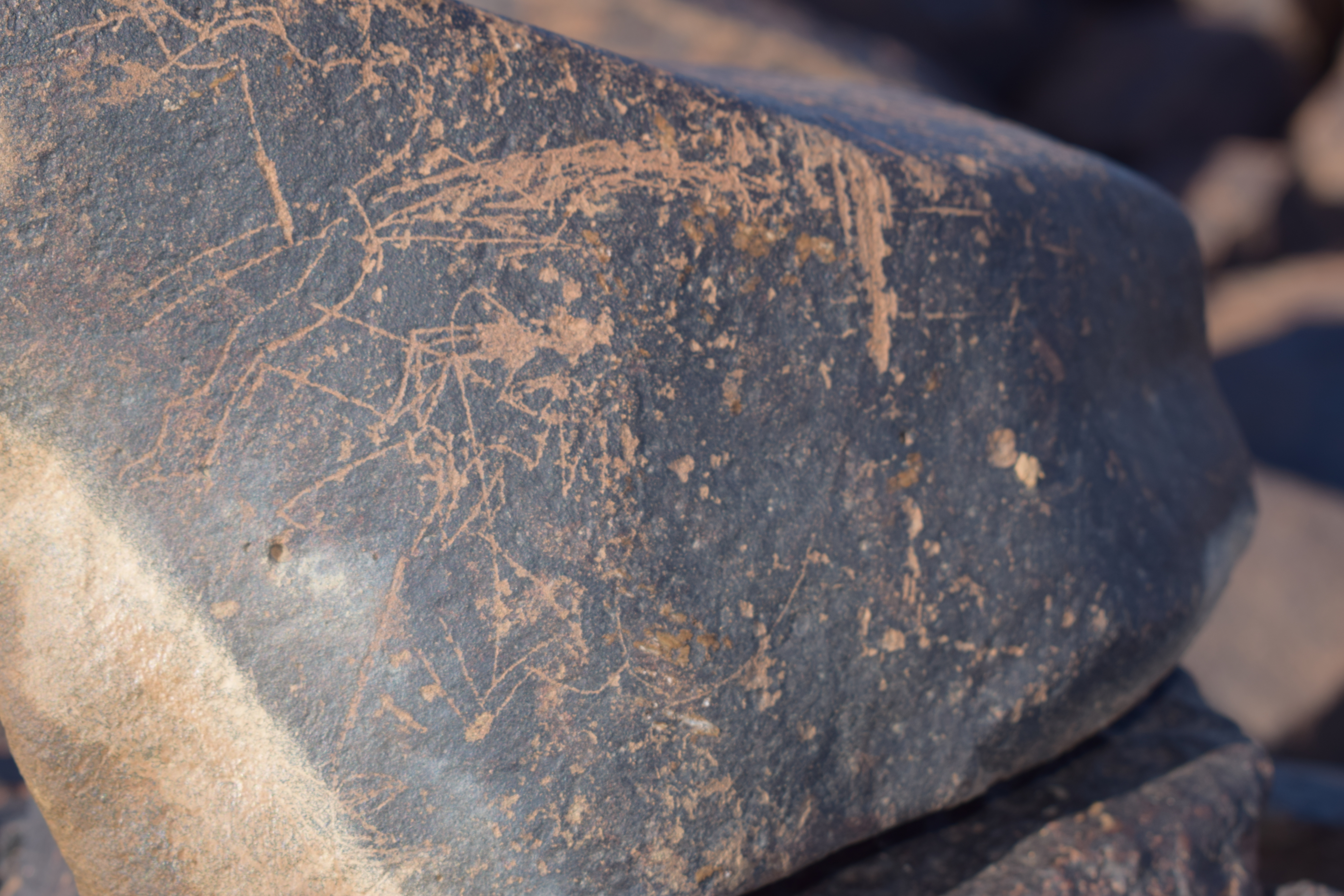 Image of siglum BES20 1631