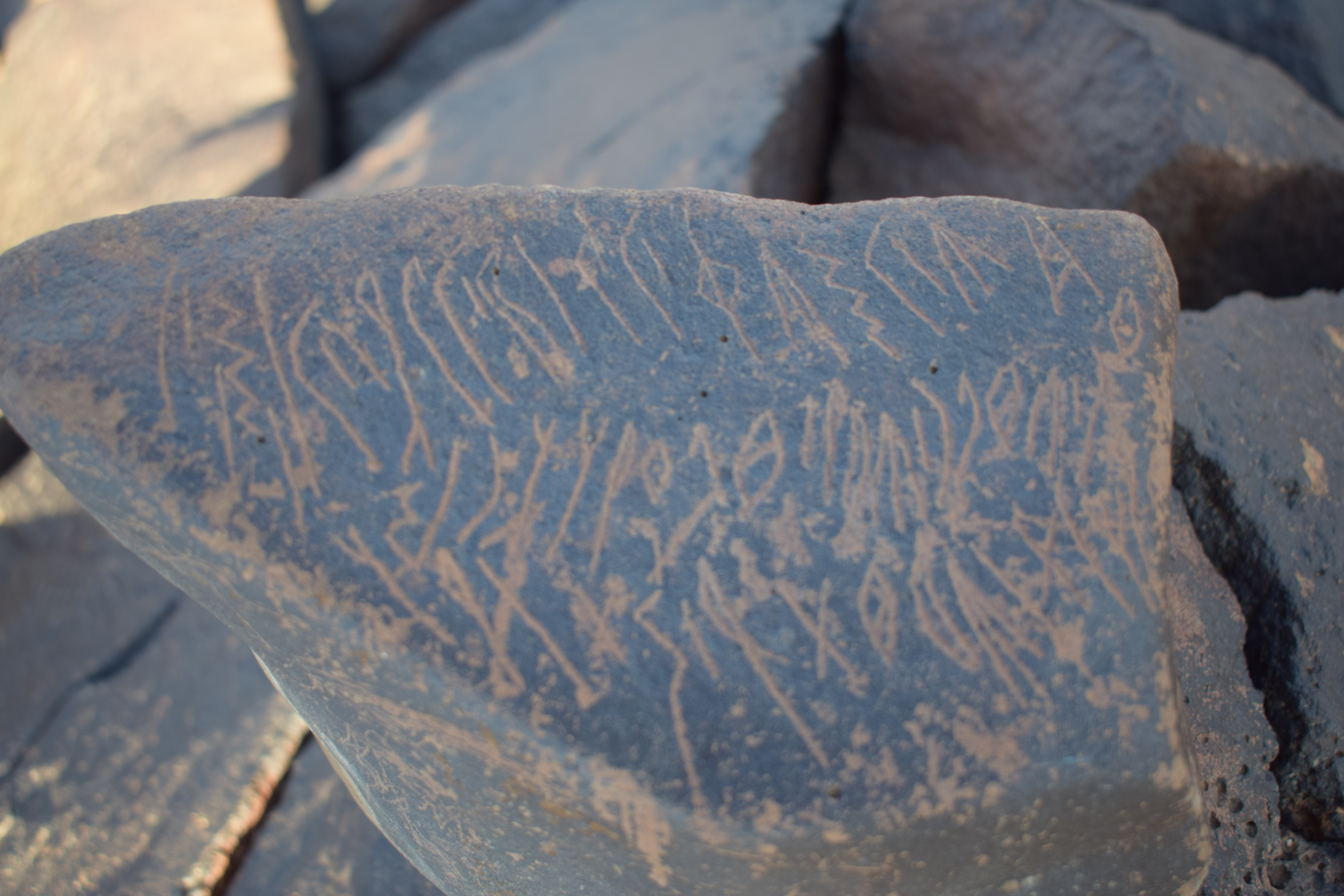 Image of siglum BES20 1631