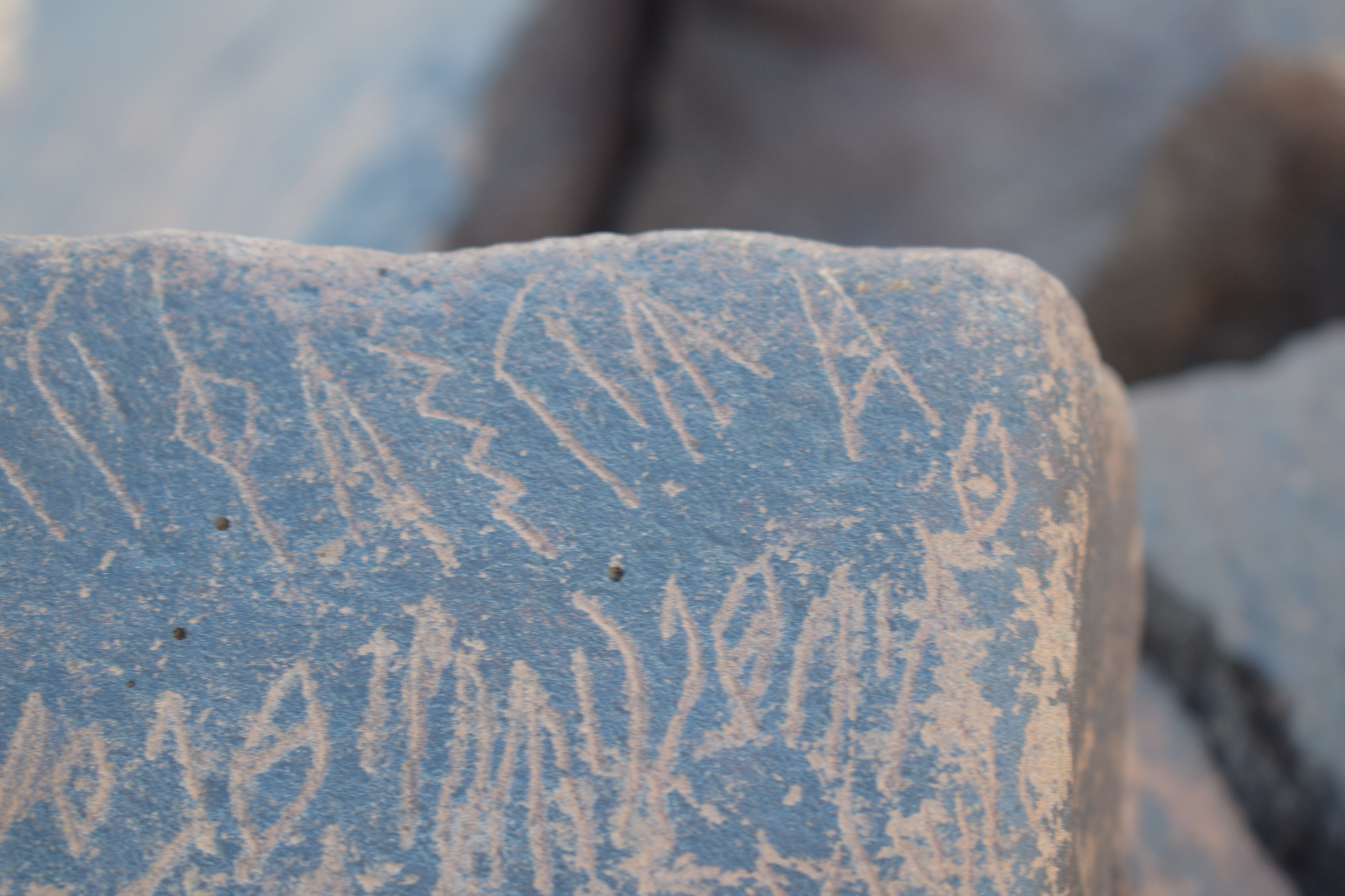 Image of siglum BES20 1631