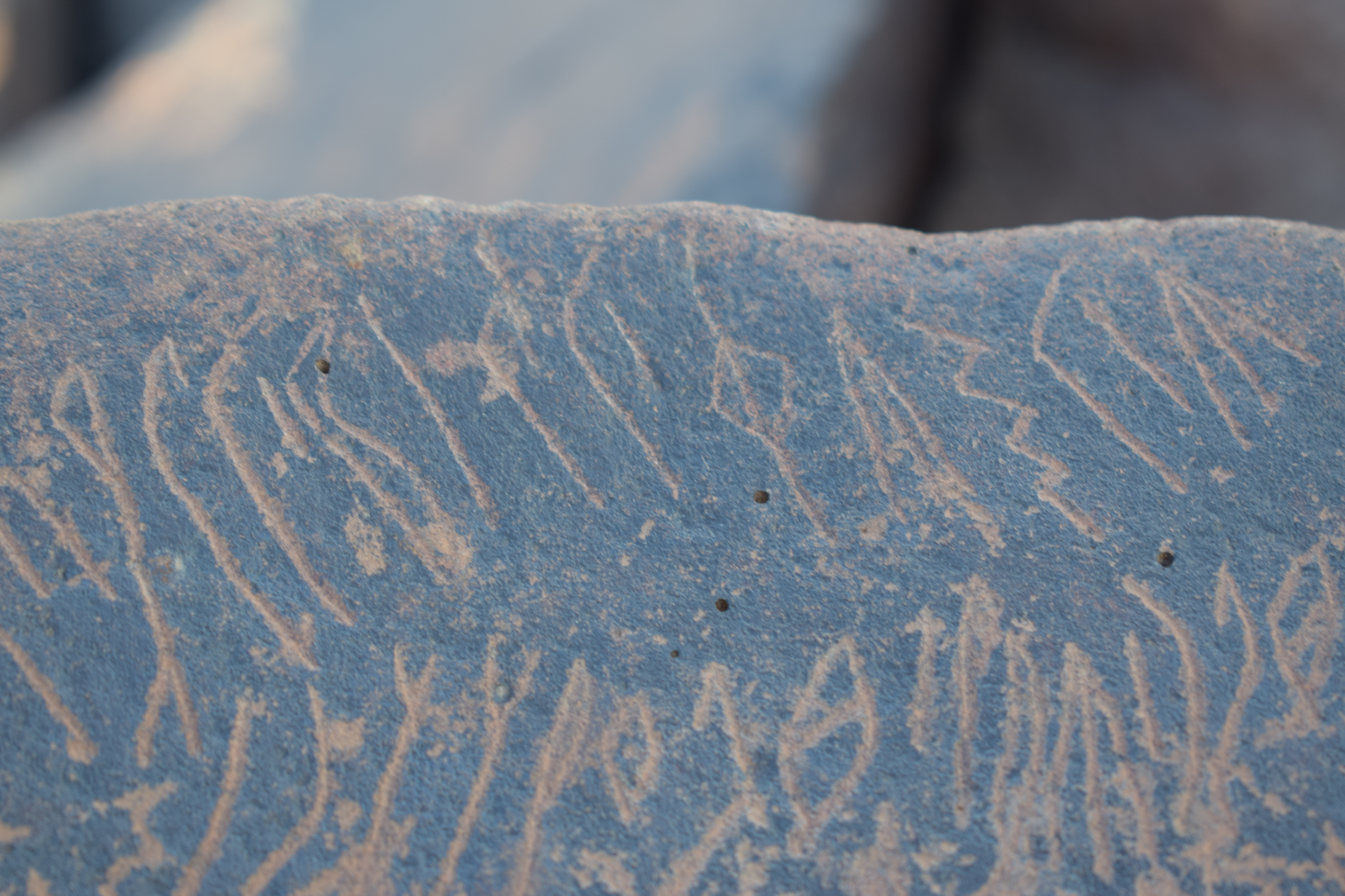 Image of siglum BES20 1631