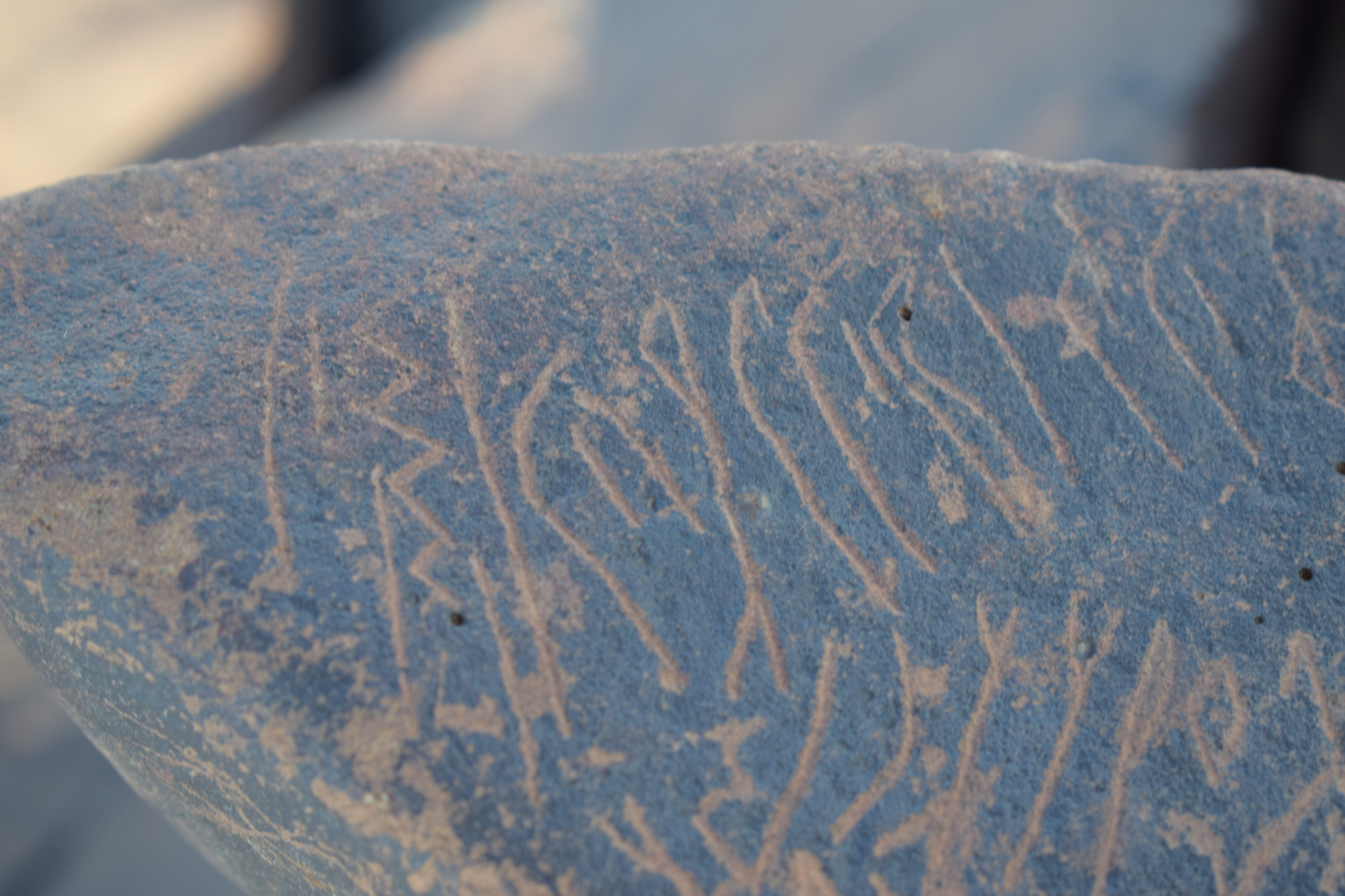 Image of siglum BES20 1631