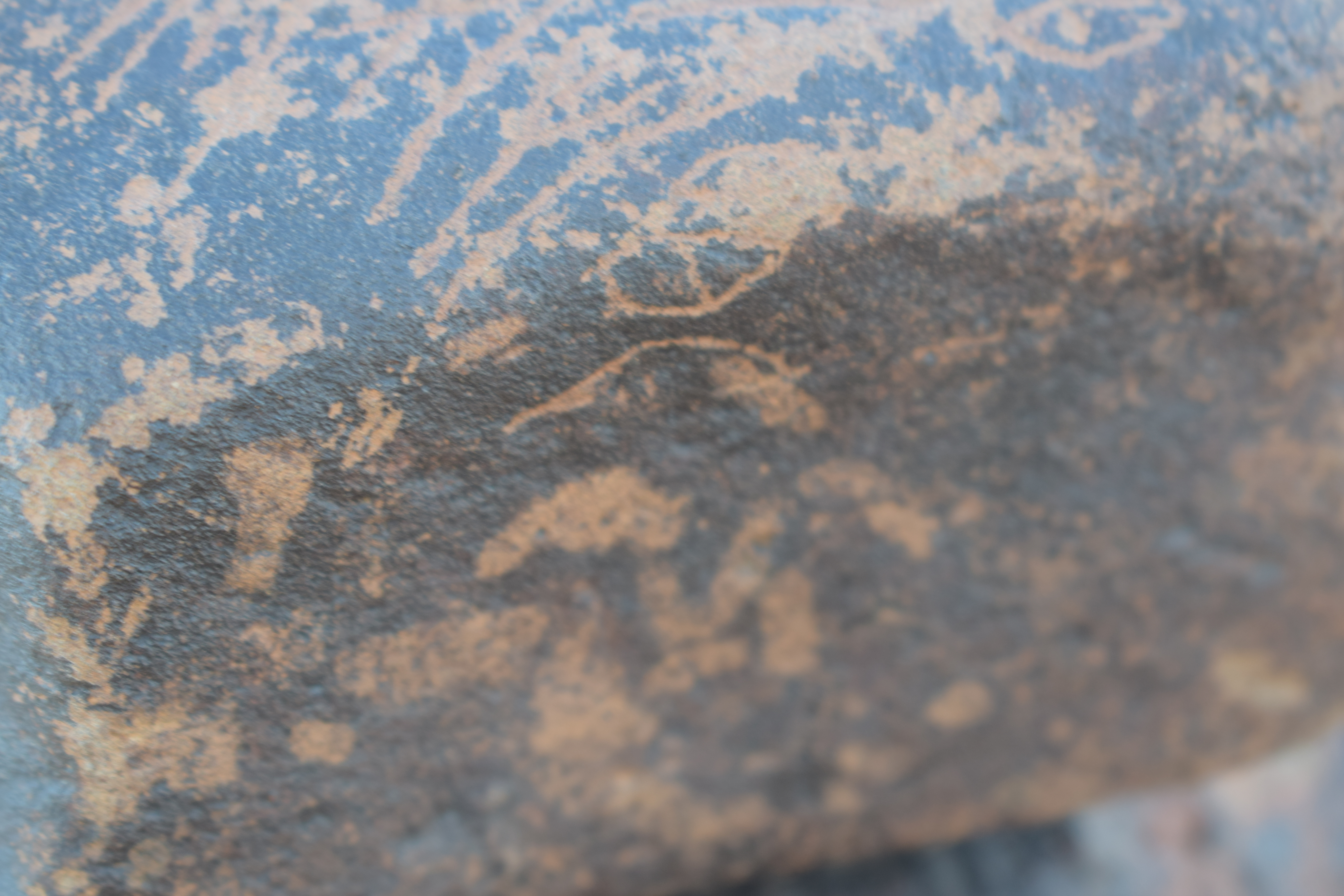 Image of siglum BES20 1631