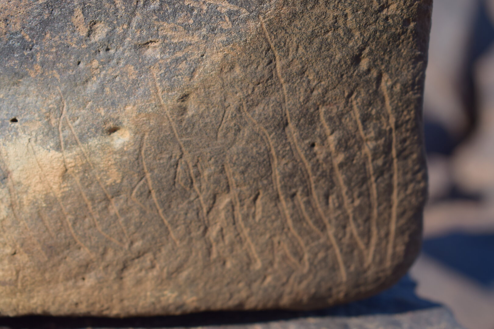 Image of siglum BES20 1631