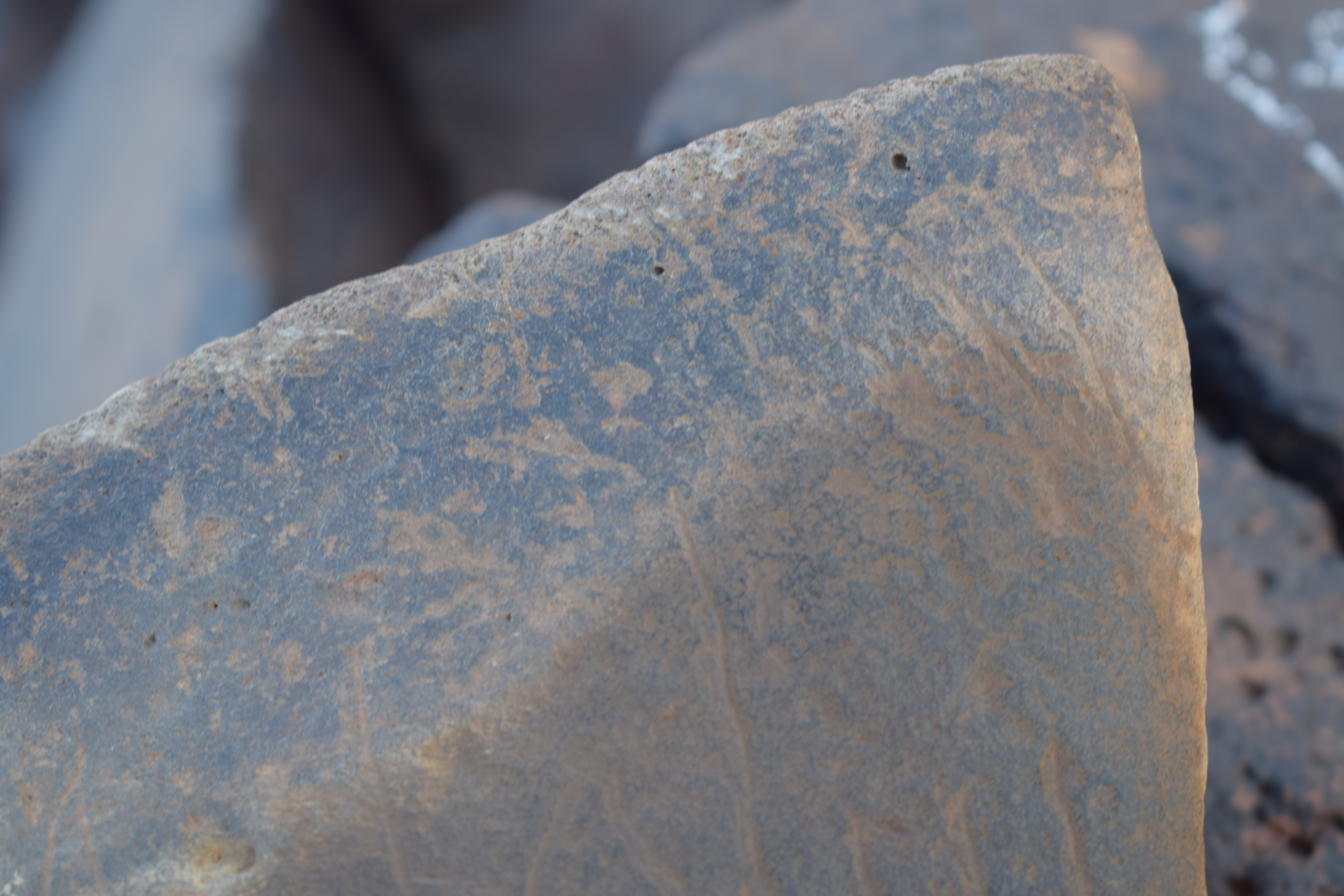 Image of siglum BES20 1632