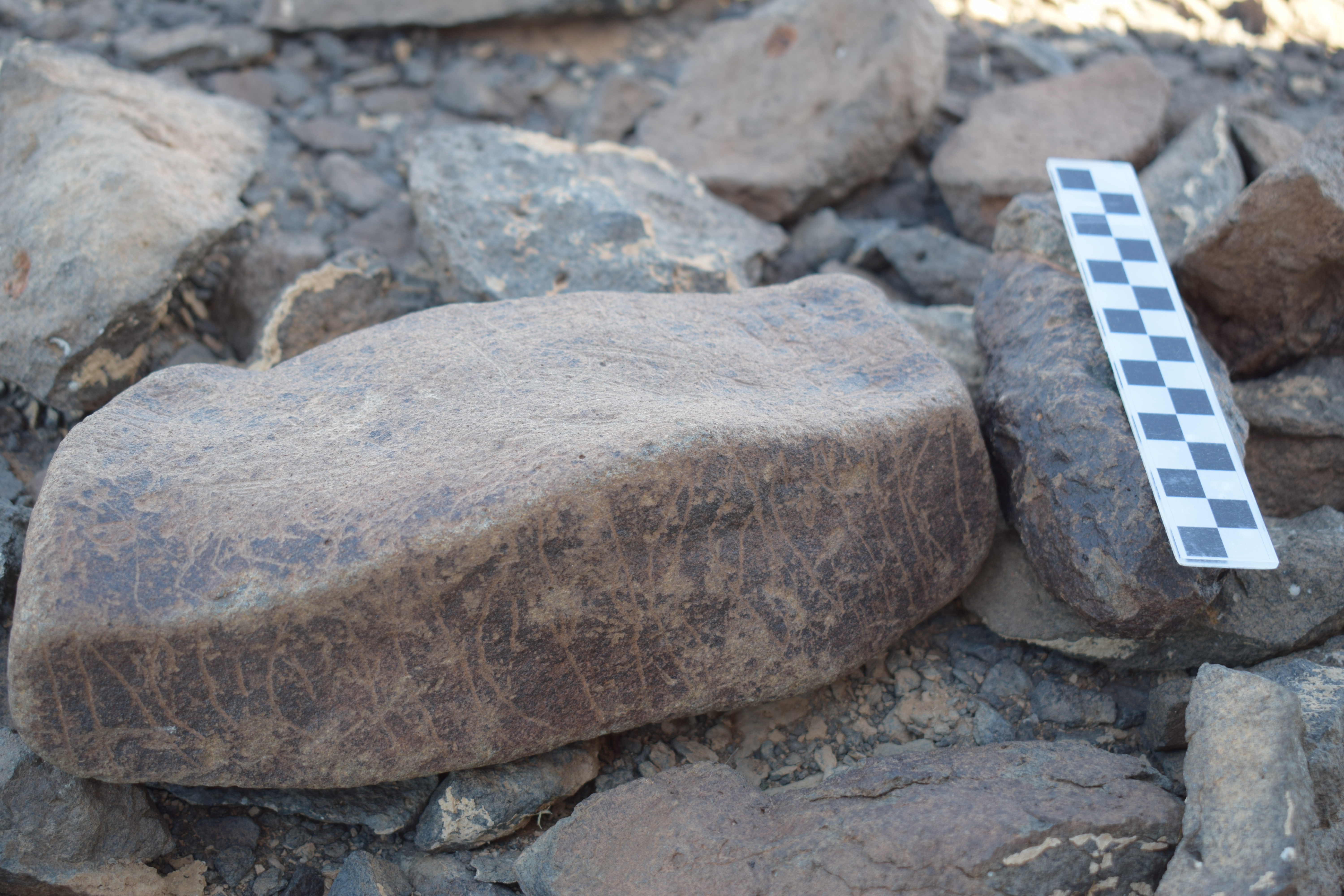 Image of siglum BES20 1635