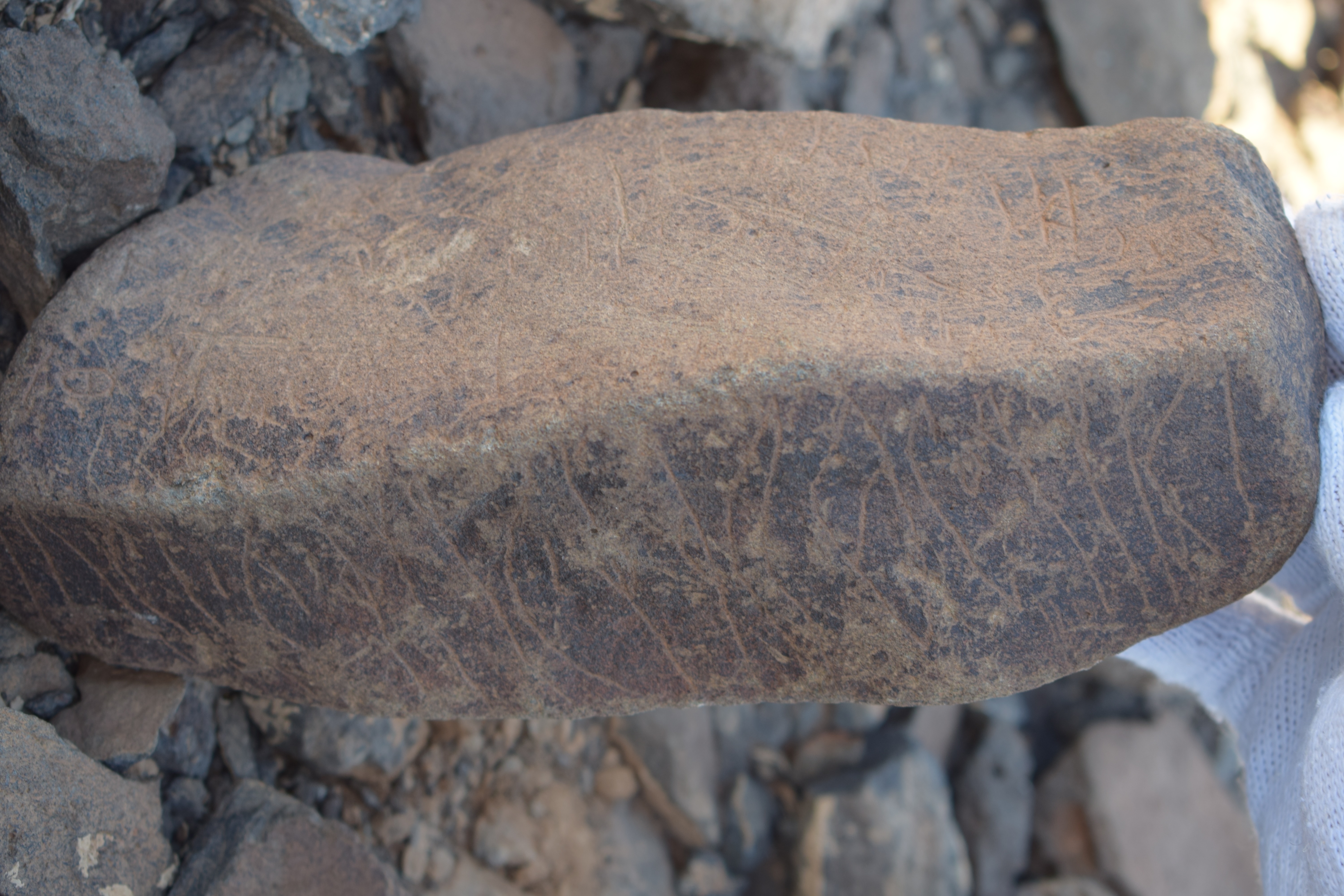 Image of siglum BES20 1635