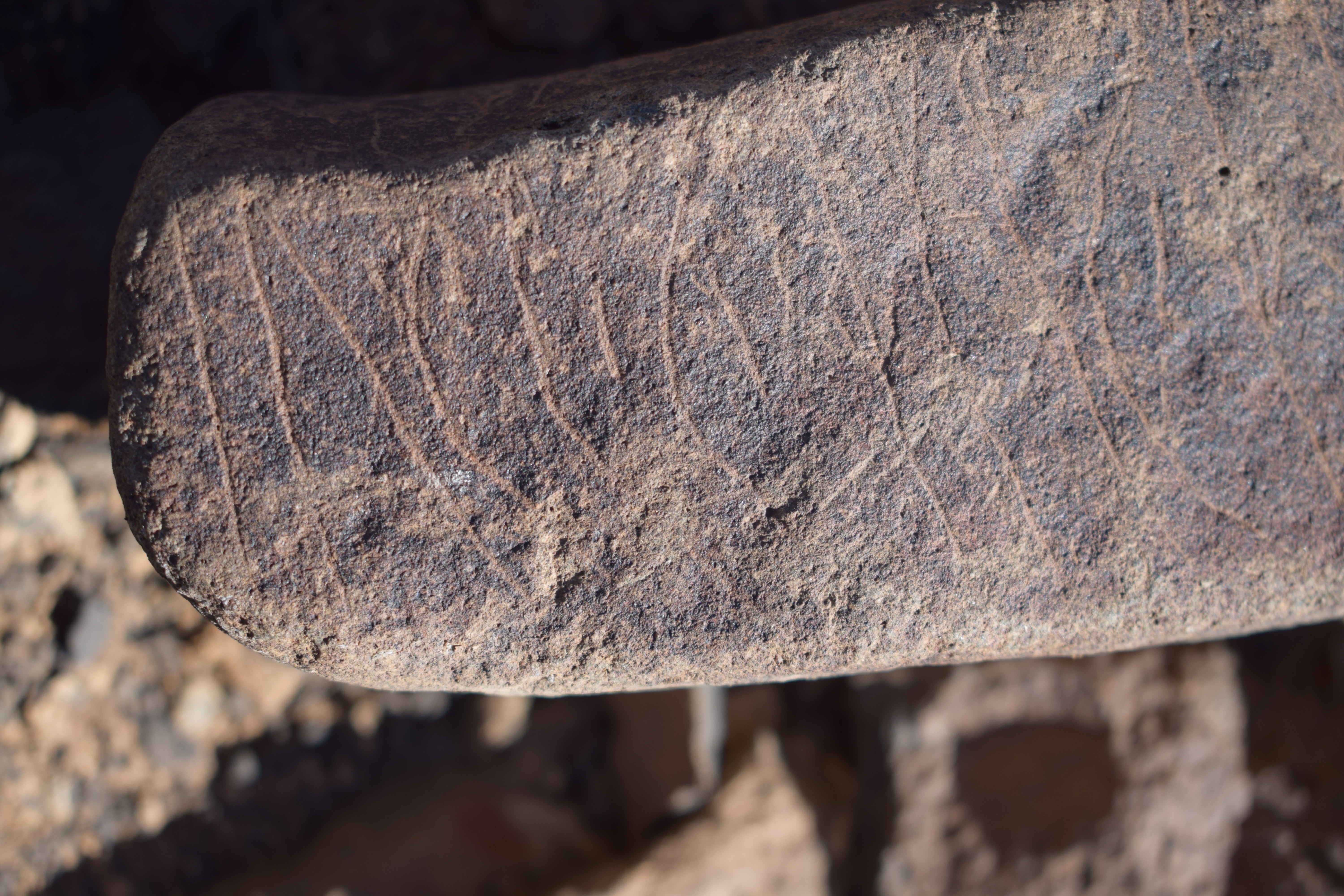 Image of siglum BES20 1635