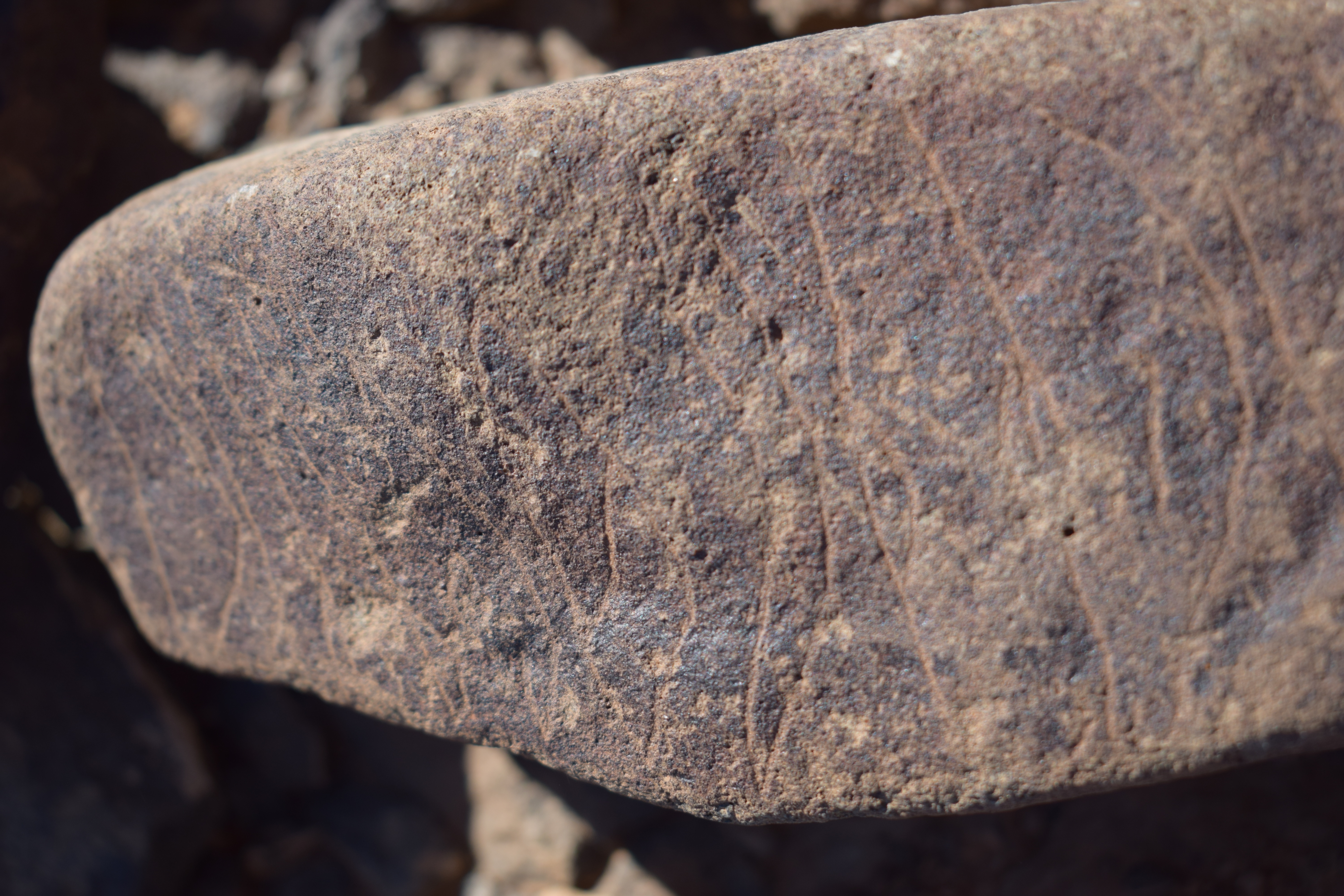 Image of siglum BES20 1635