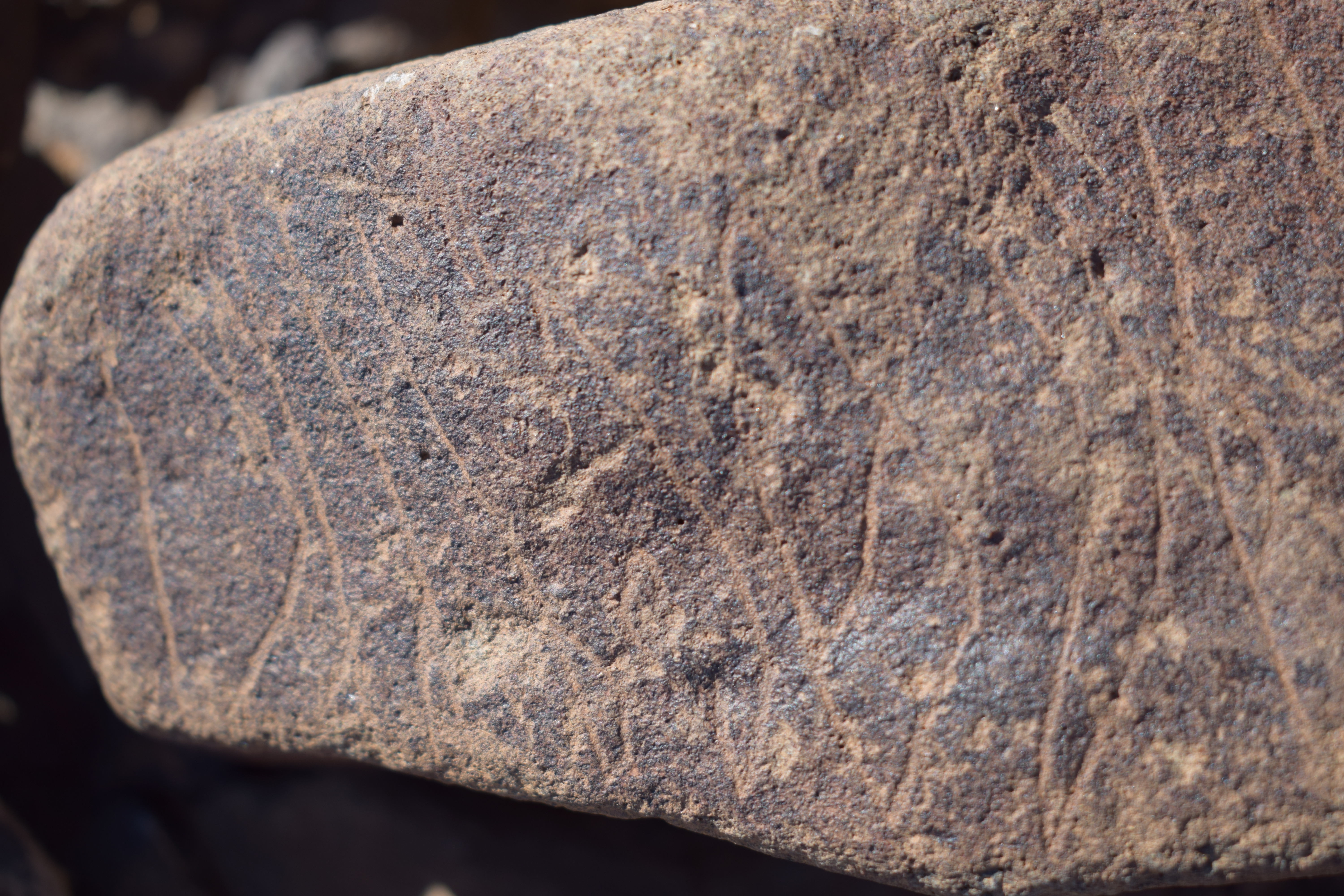 Image of siglum BES20 1635