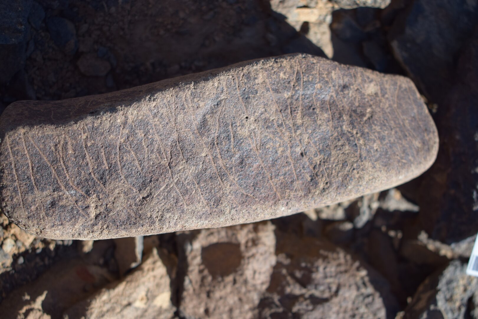 Image of siglum BES20 1635