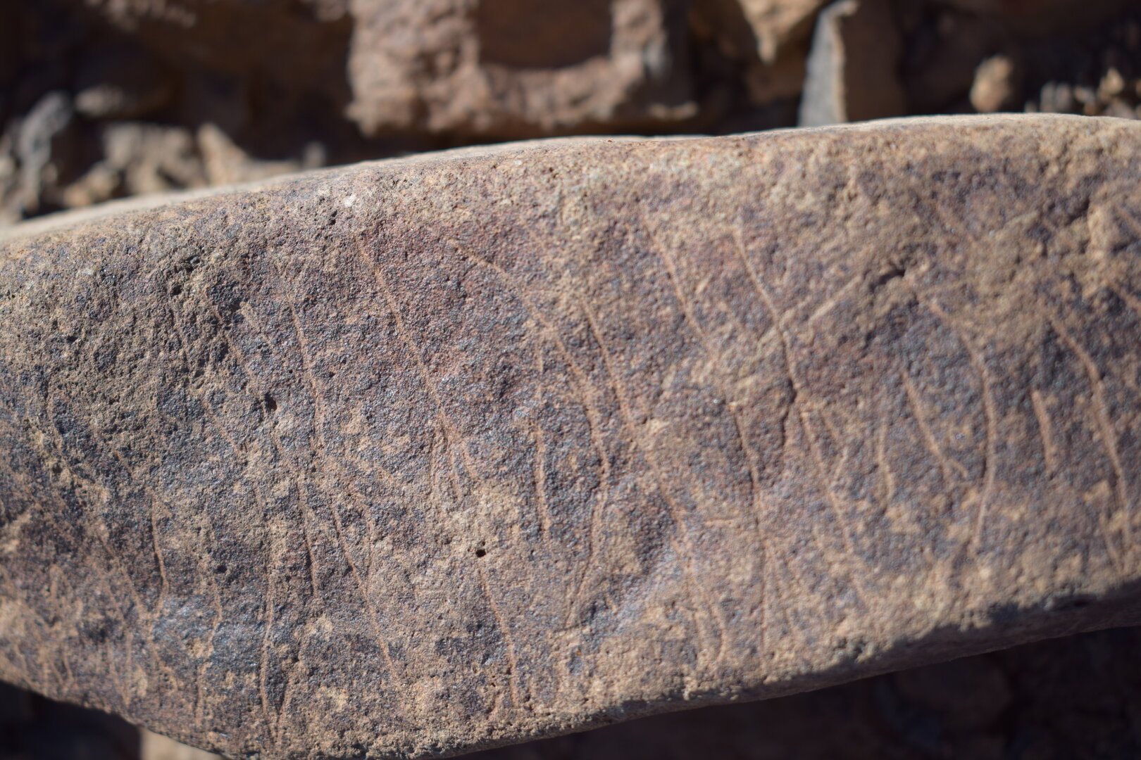 Image of siglum BES20 1635