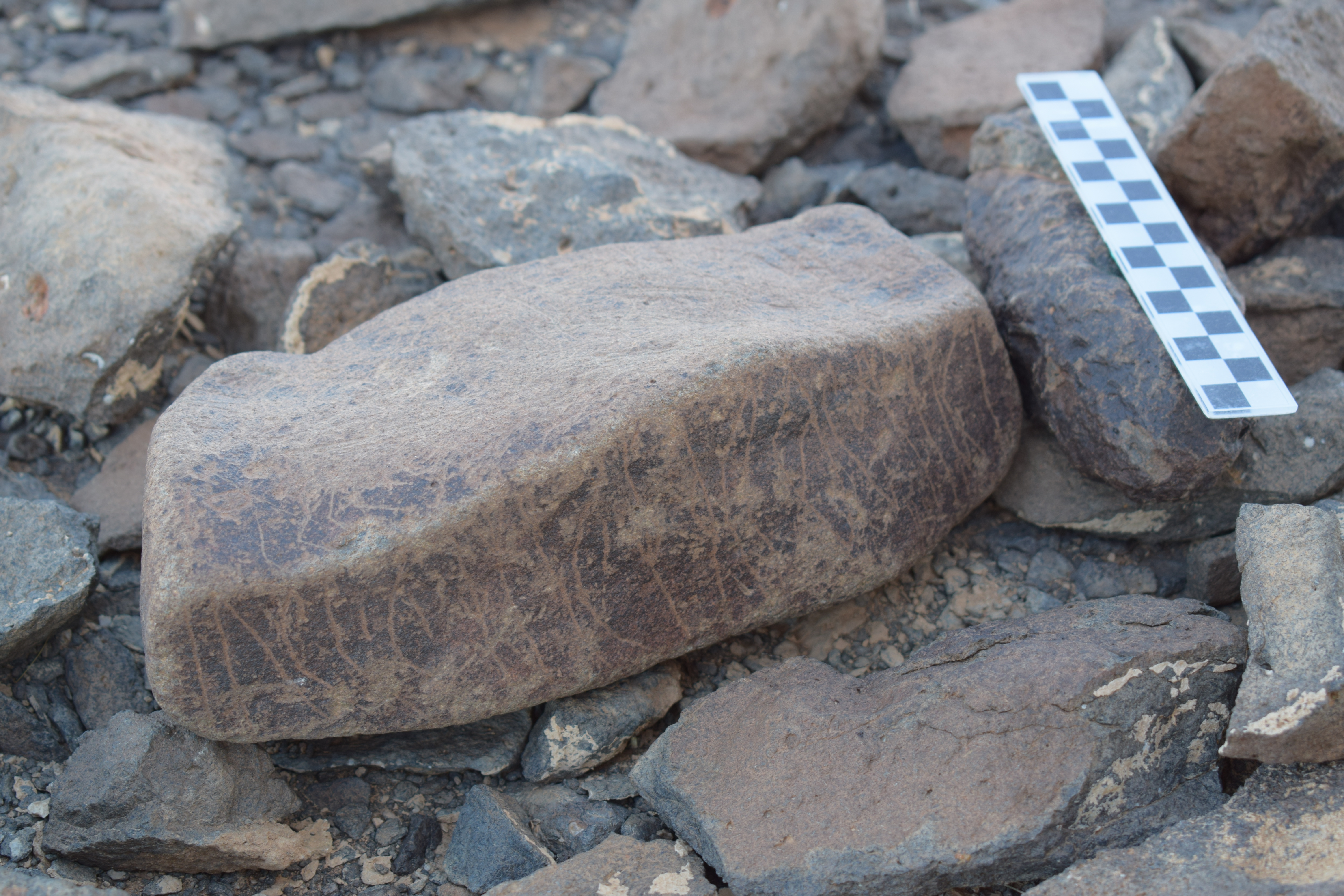 Image of siglum BES20 1636