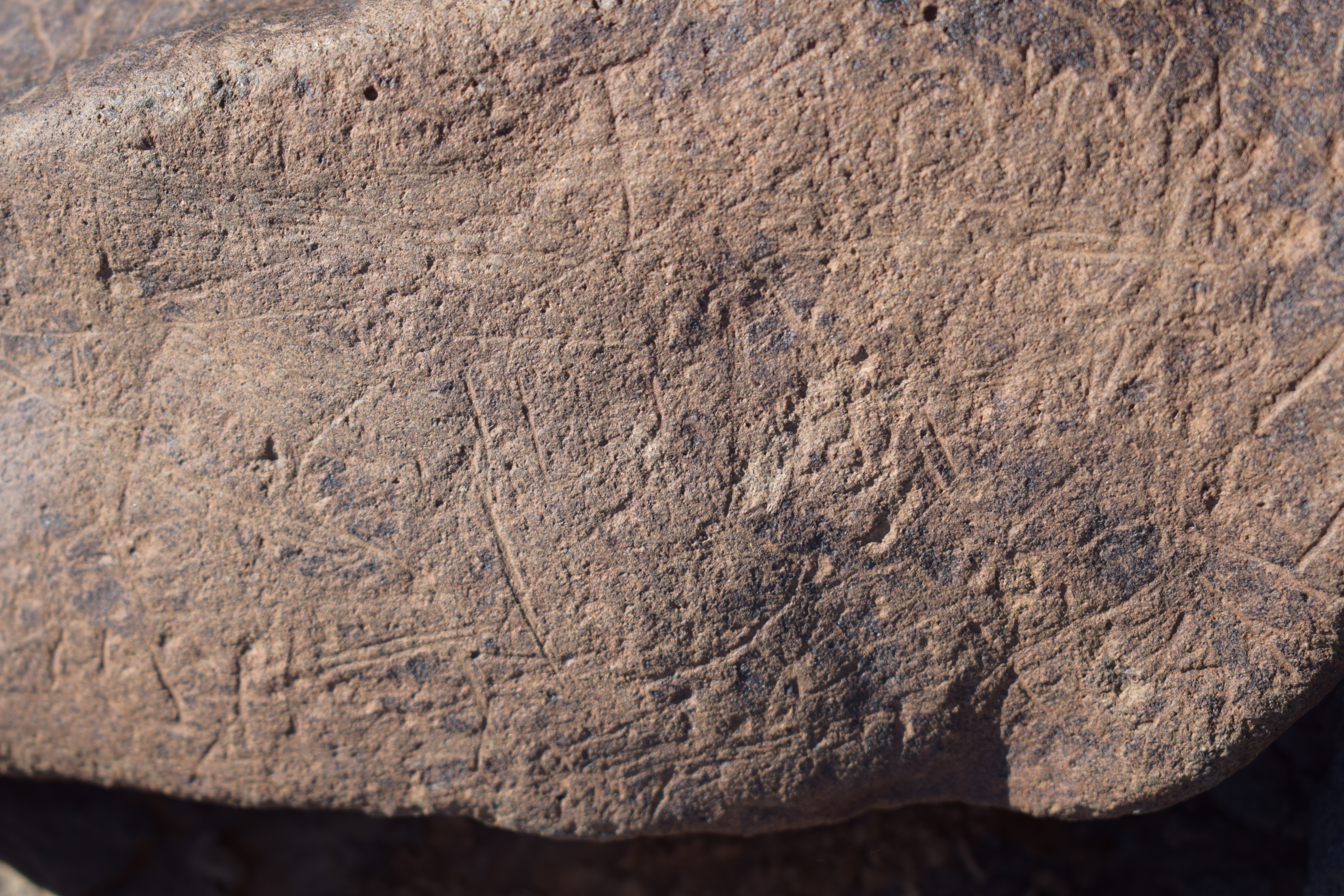 Image of siglum BES20 1636