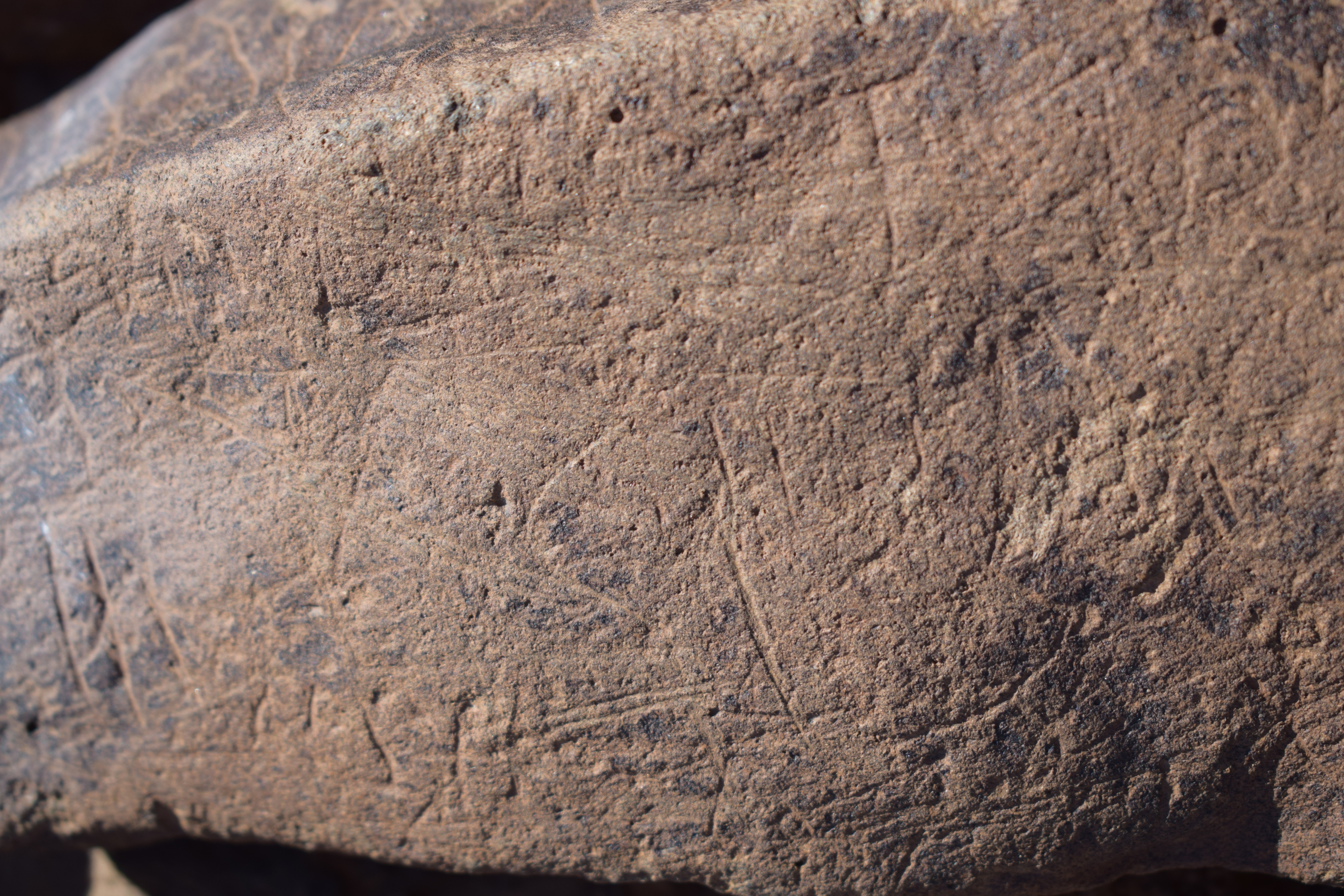 Image of siglum BES20 1636