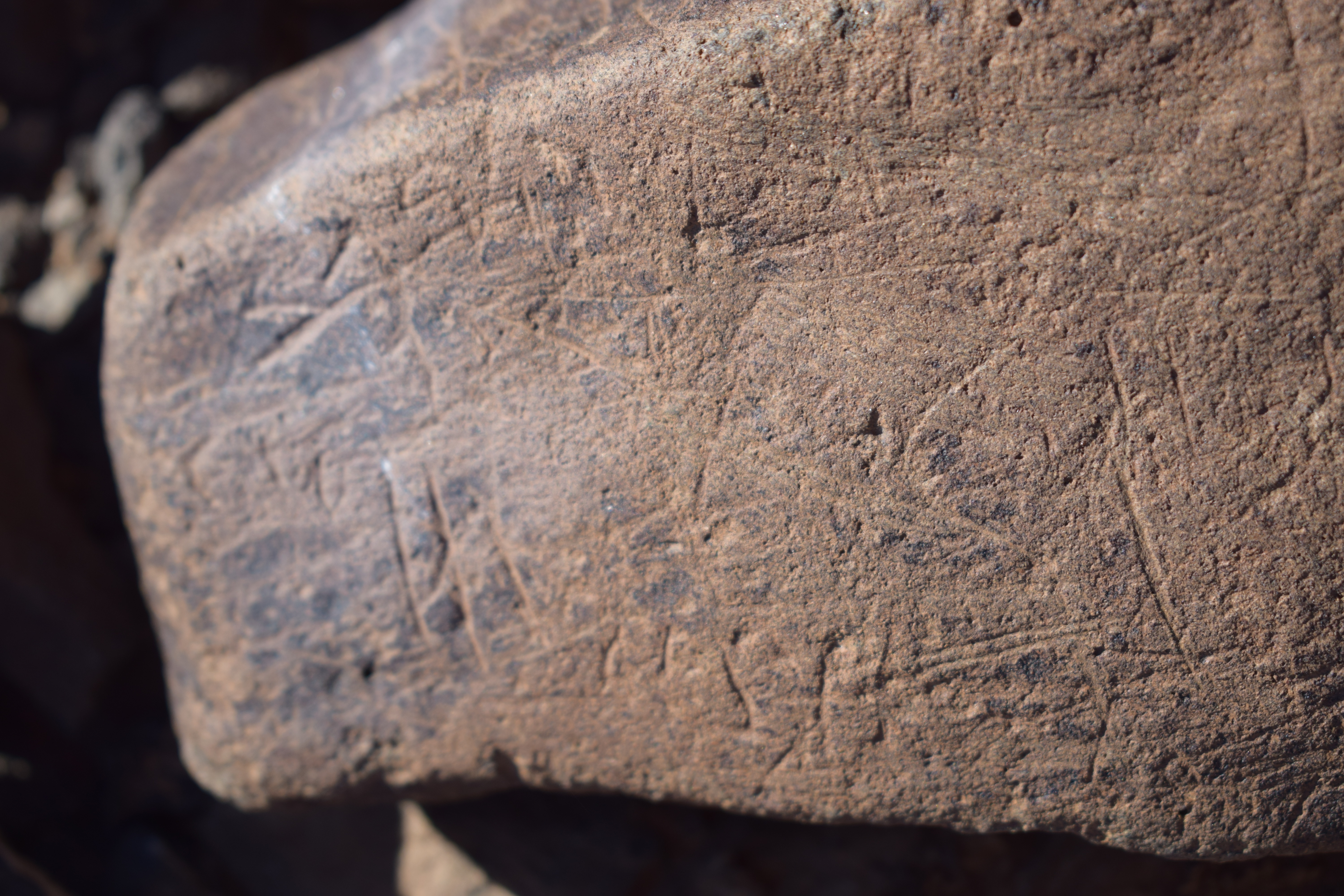 Image of siglum BES20 1636