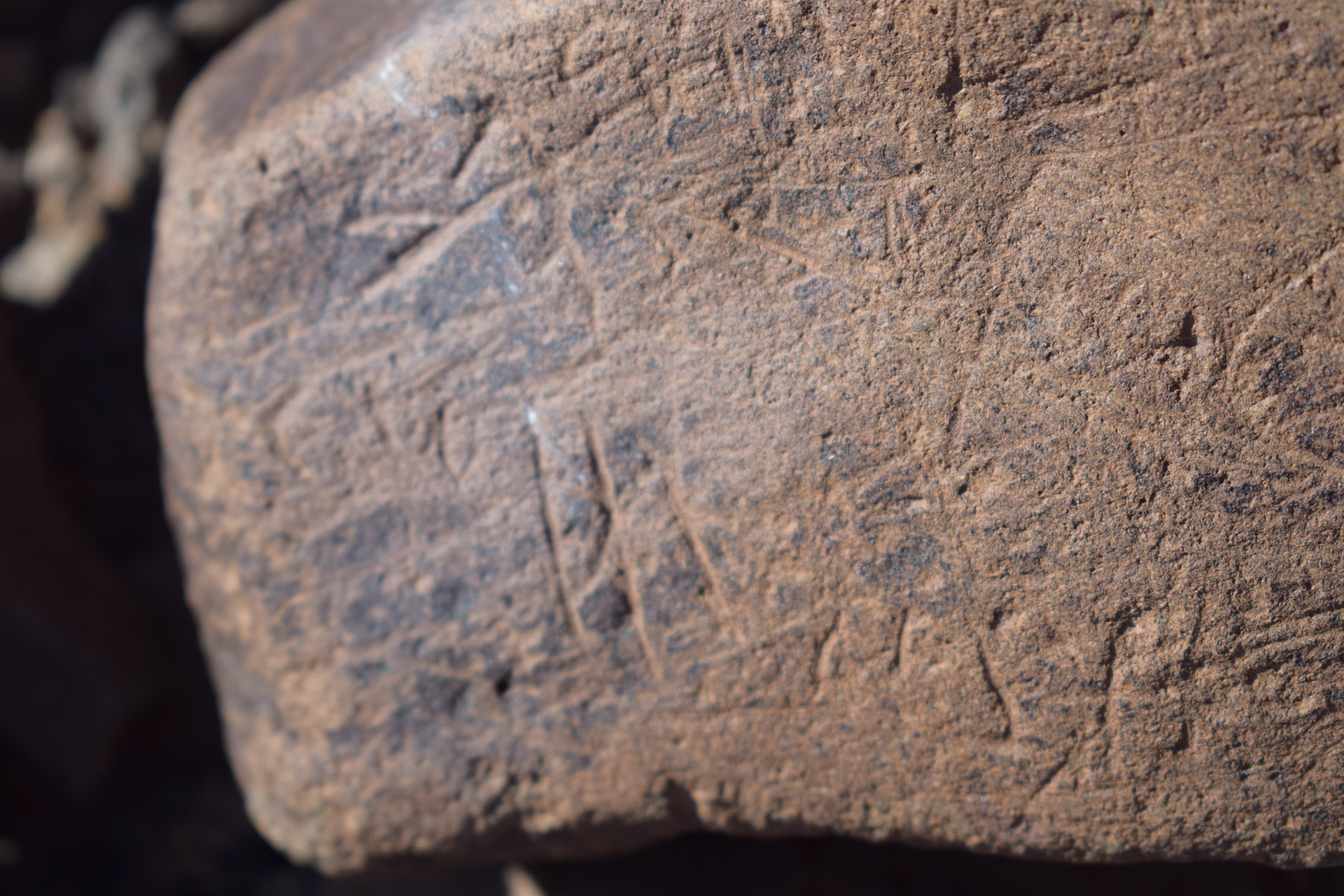 Image of siglum BES20 1636