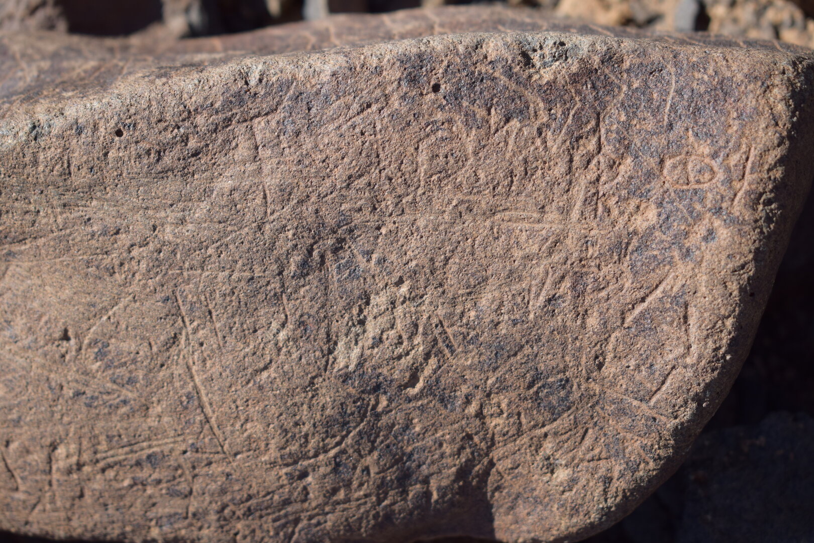Image of siglum BES20 1636