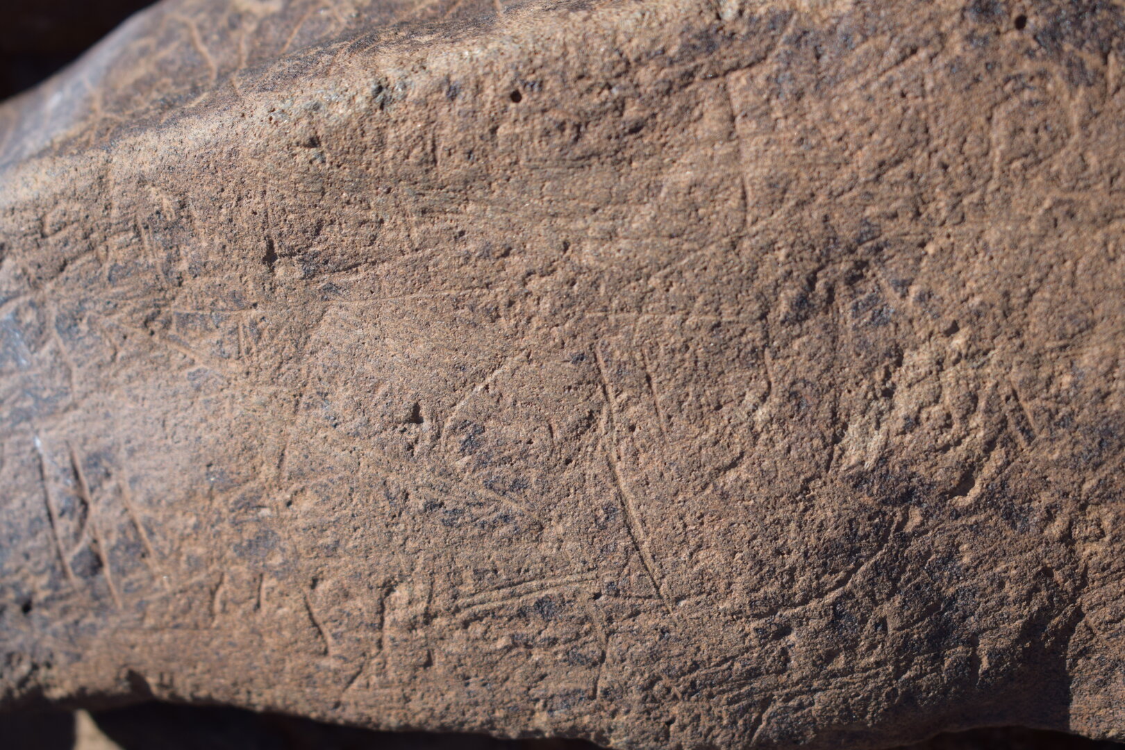 Image of siglum BES20 1636