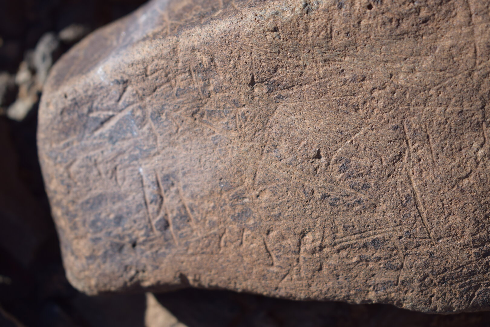 Image of siglum BES20 1636