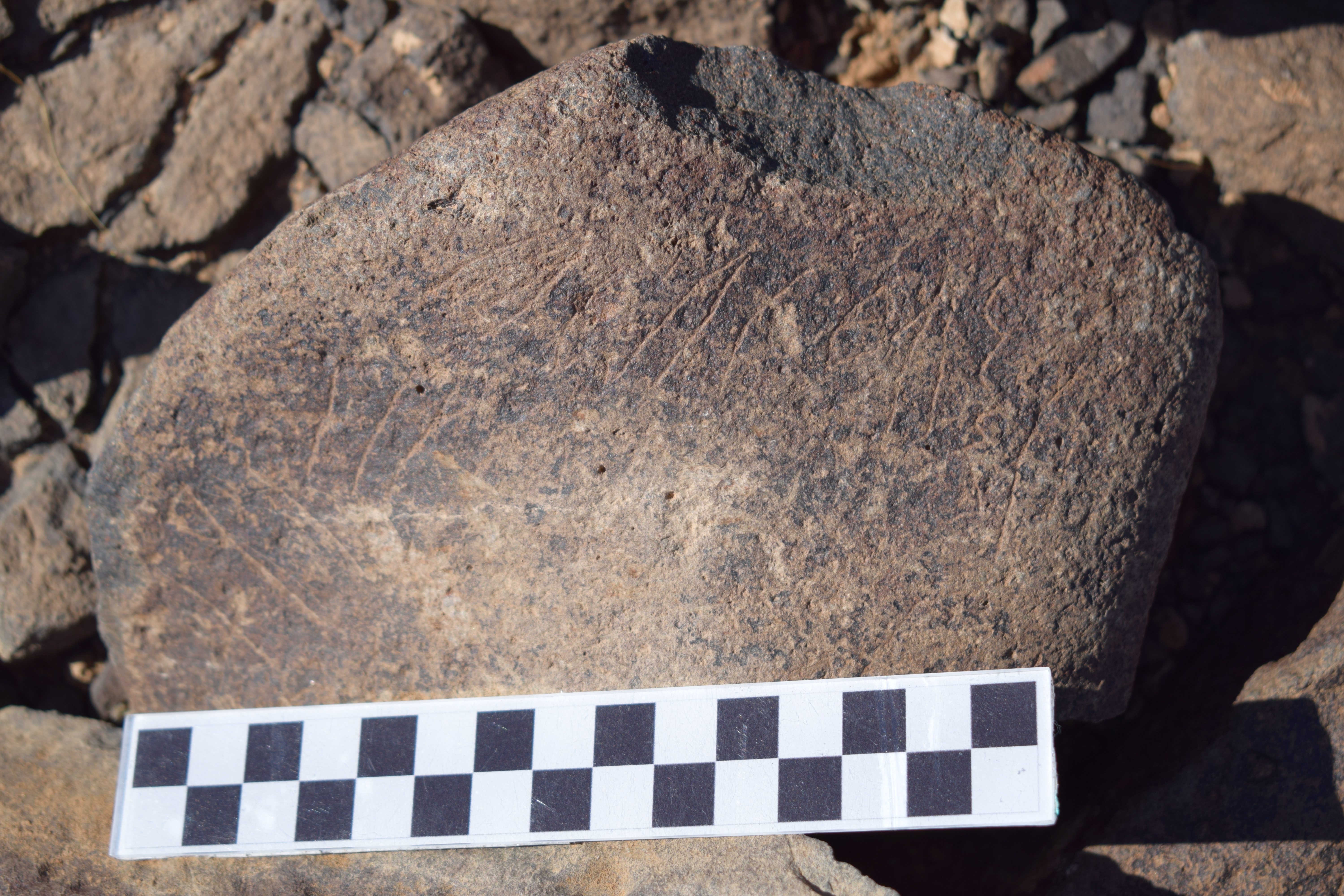 Image of siglum BES20 1637