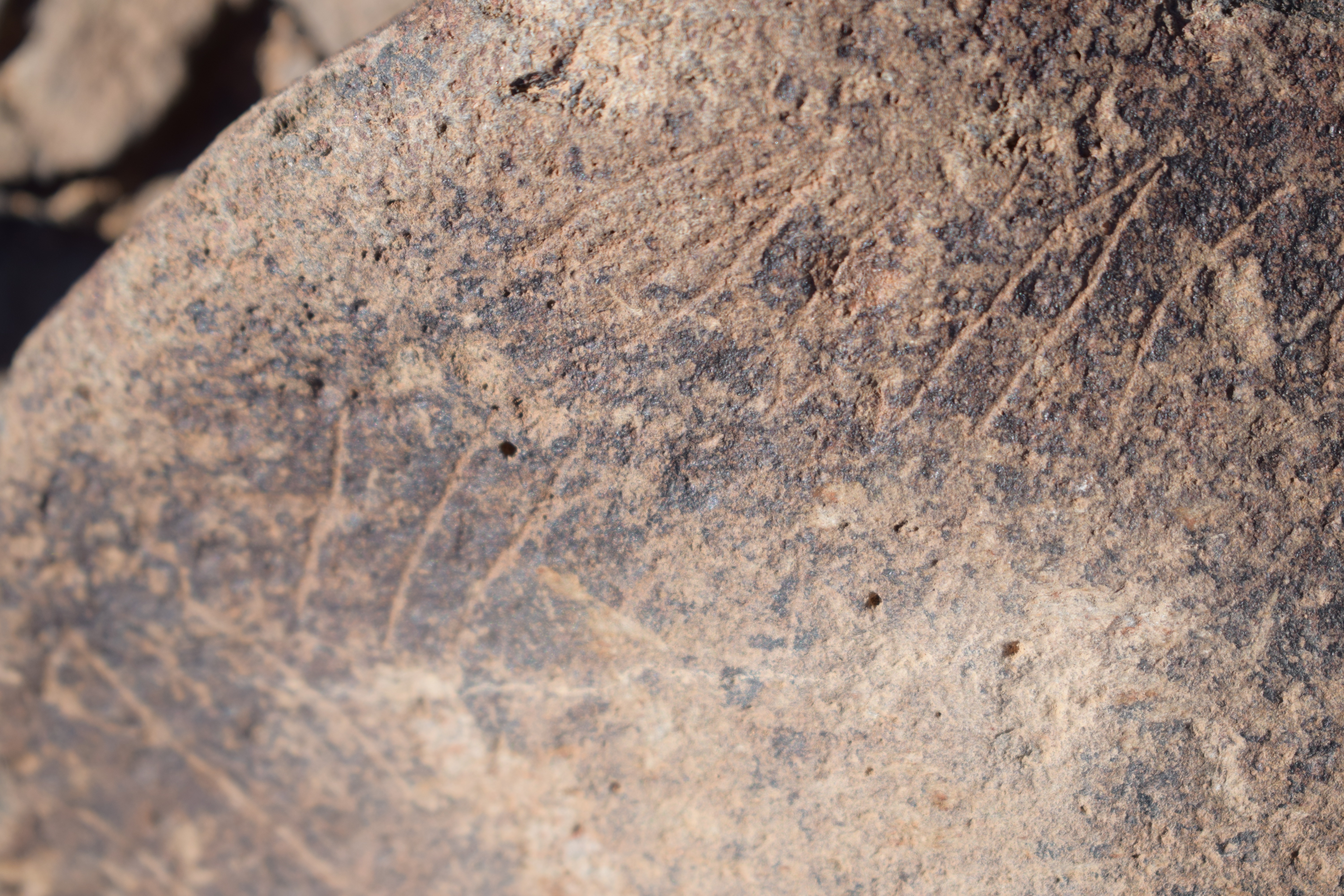 Image of siglum BES20 1637