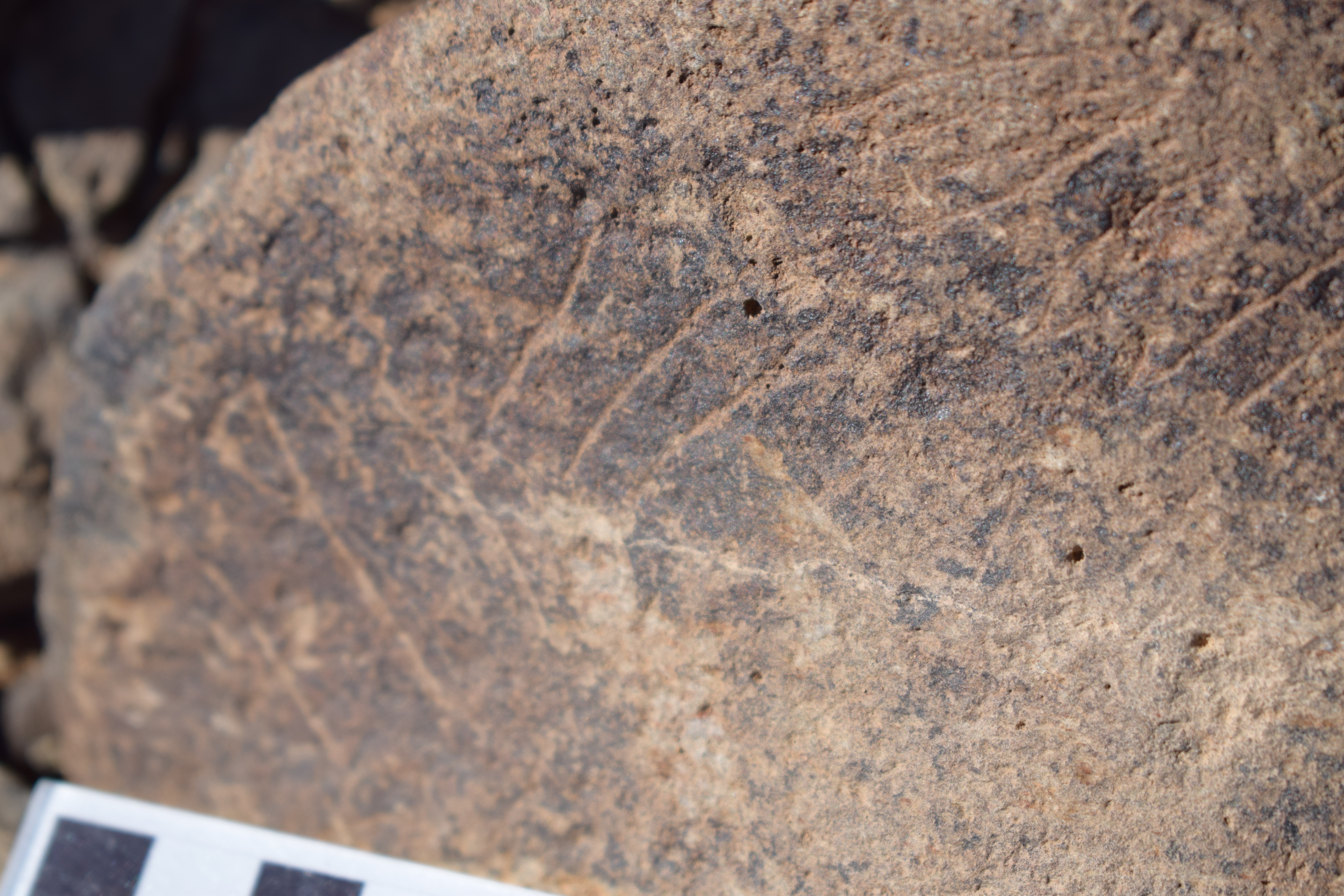 Image of siglum BES20 1637