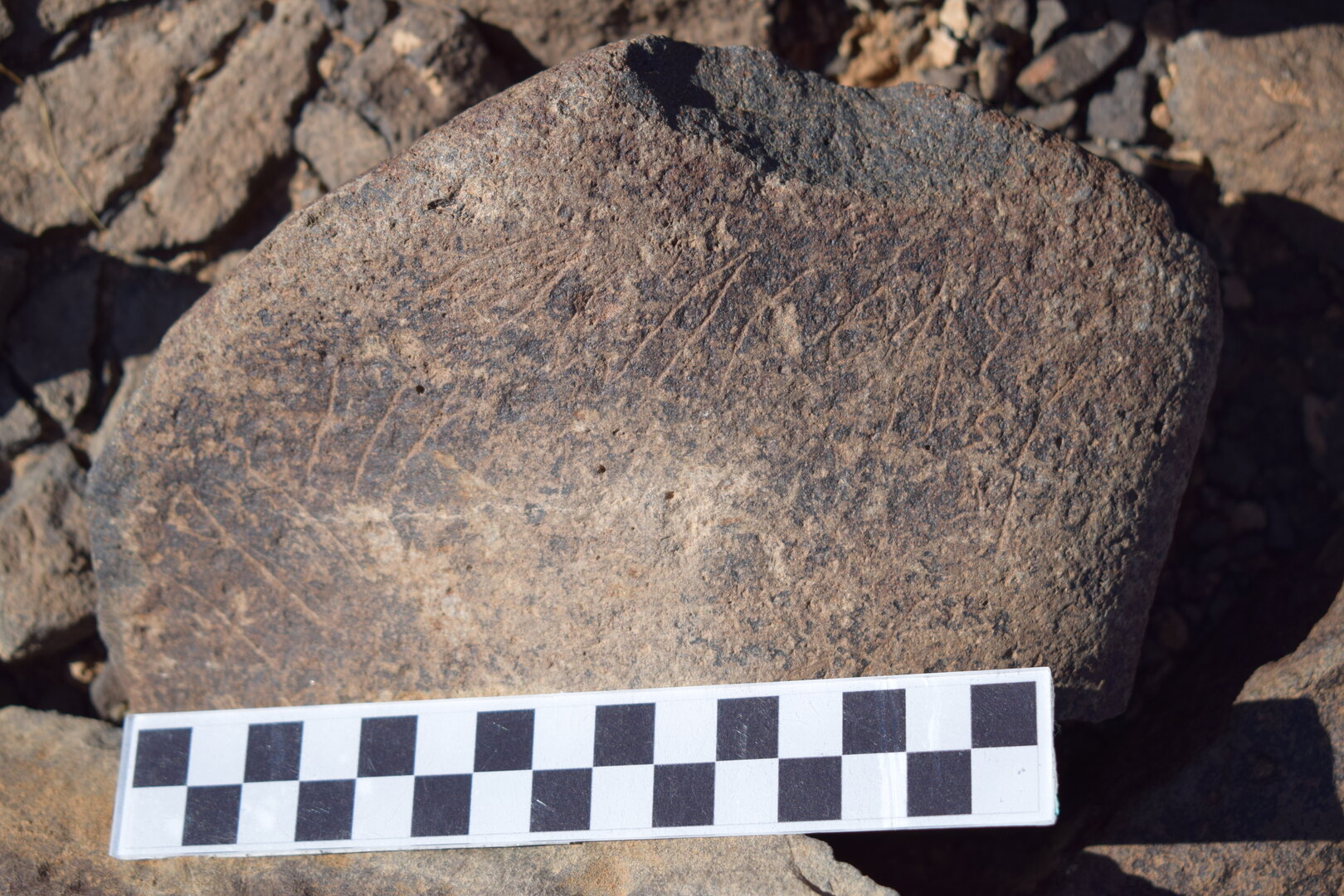 Image of siglum BES20 1637