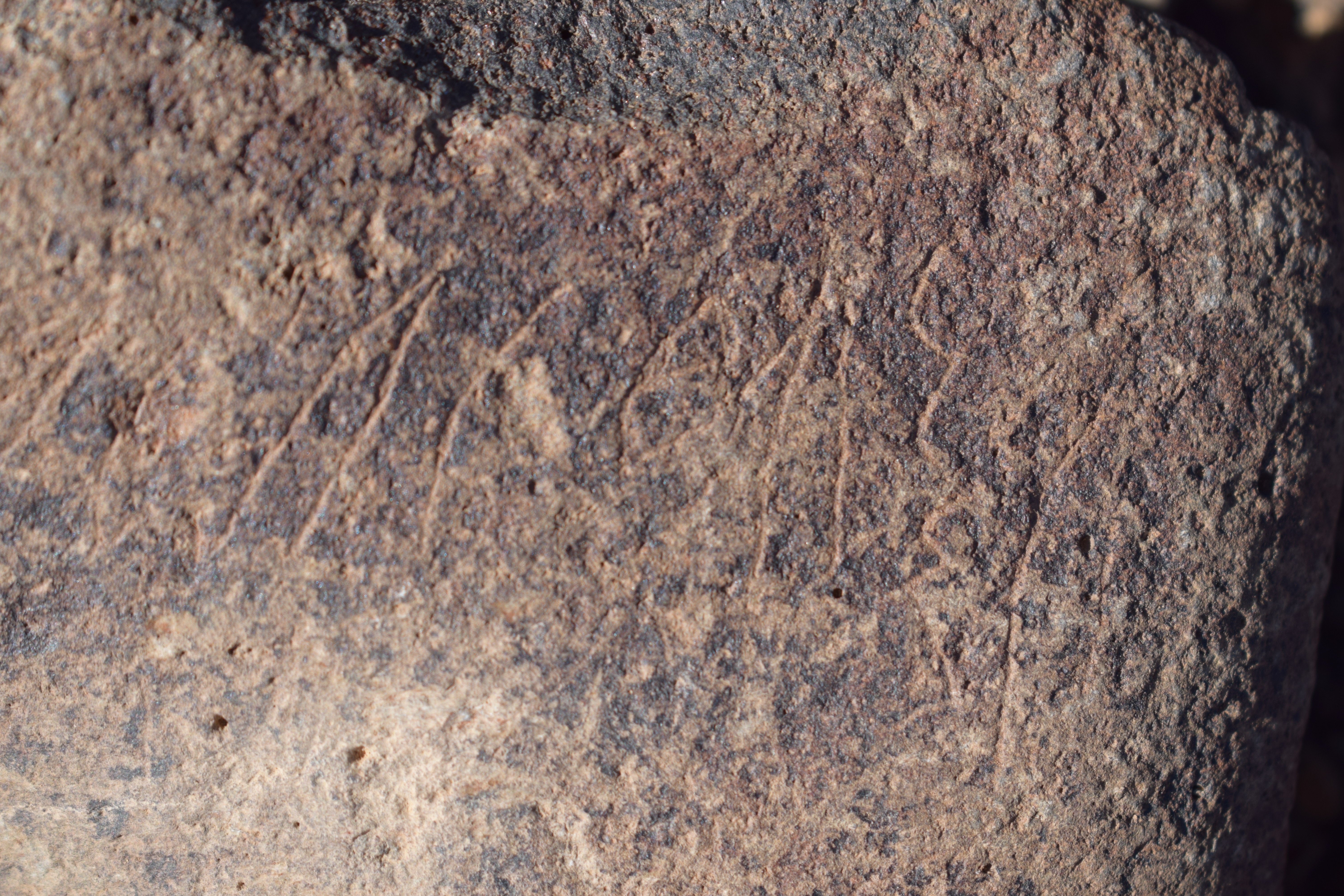 Image of siglum BES20 1638