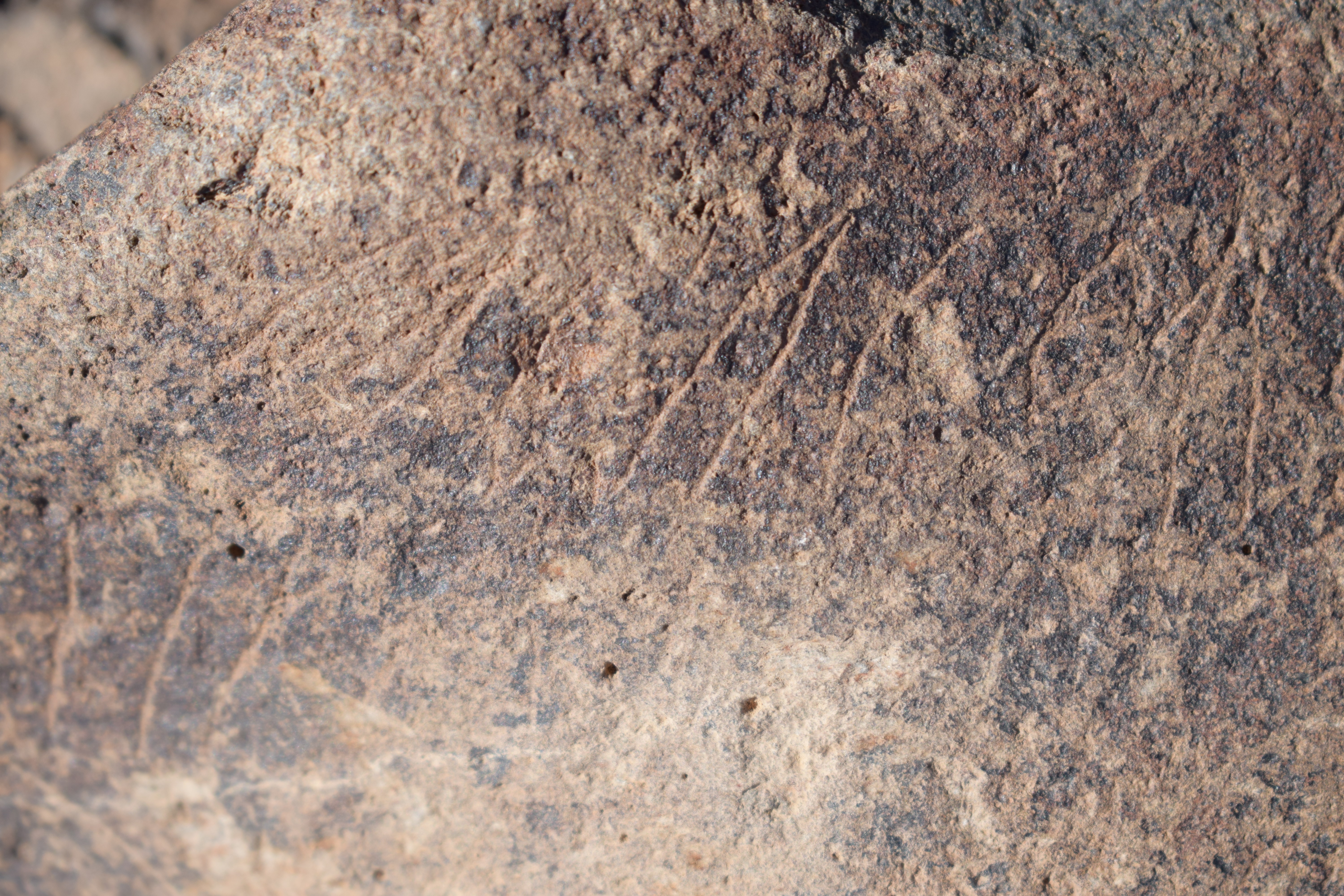 Image of siglum BES20 1638