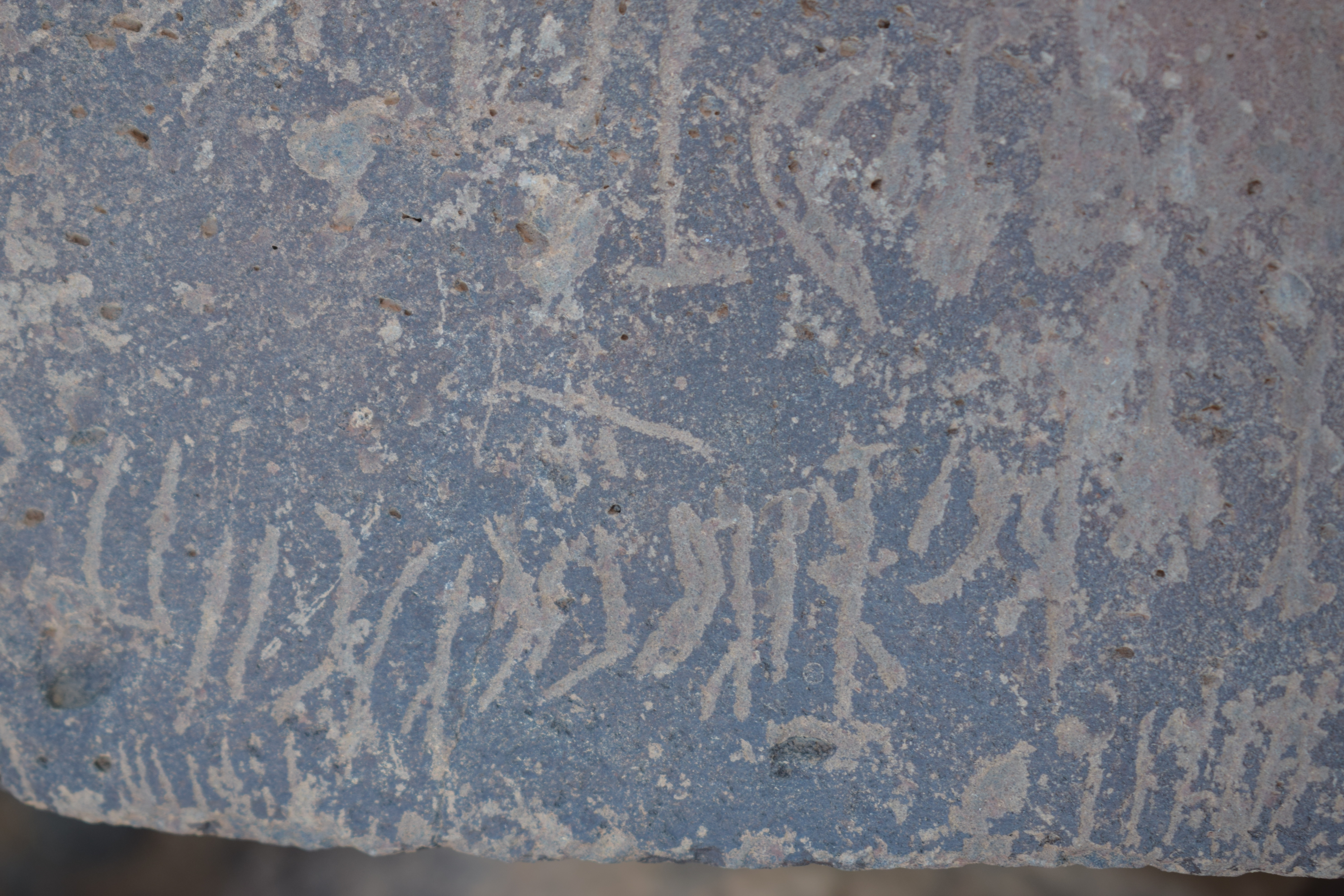 Image of siglum BES20 1639