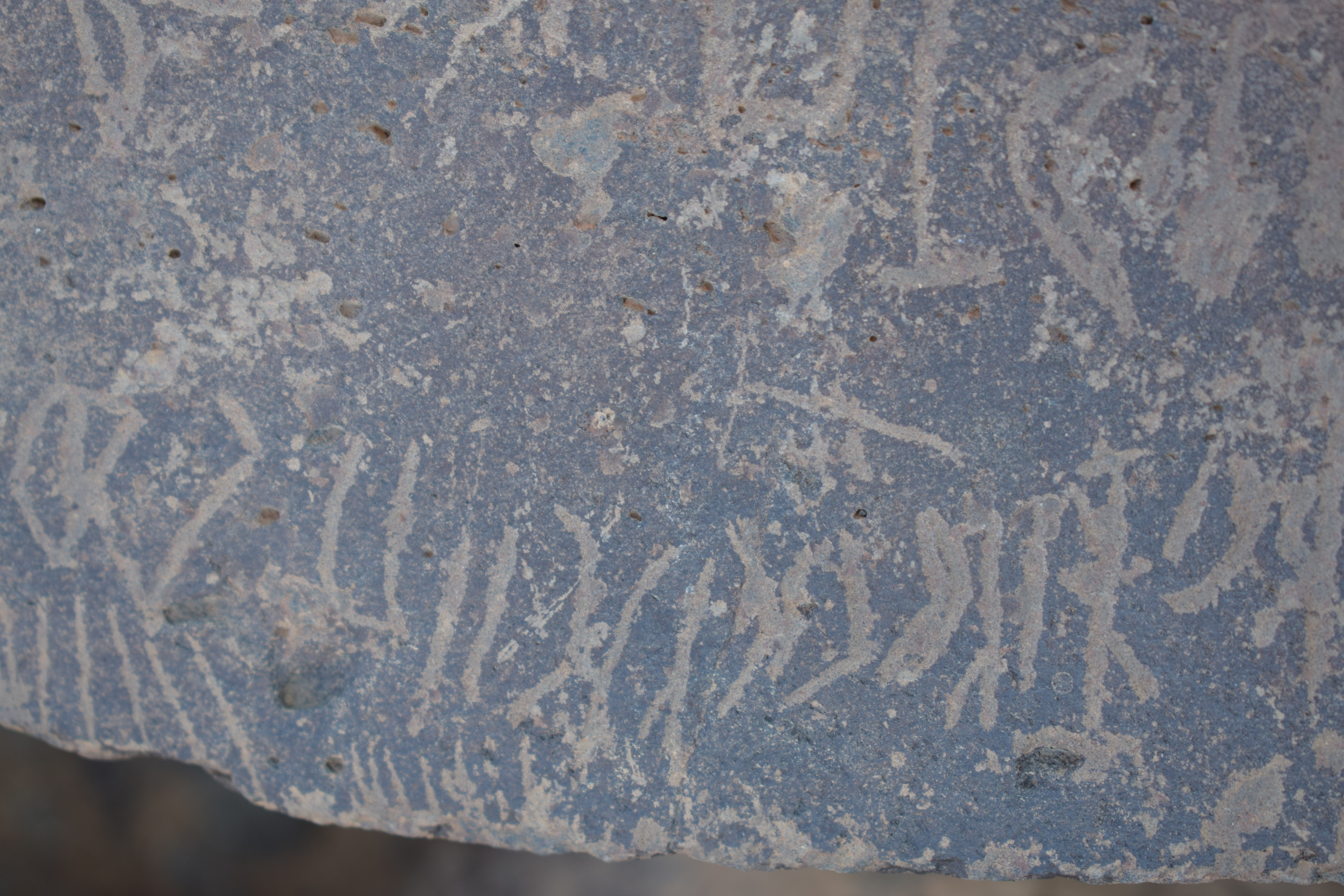 Image of siglum BES20 1639