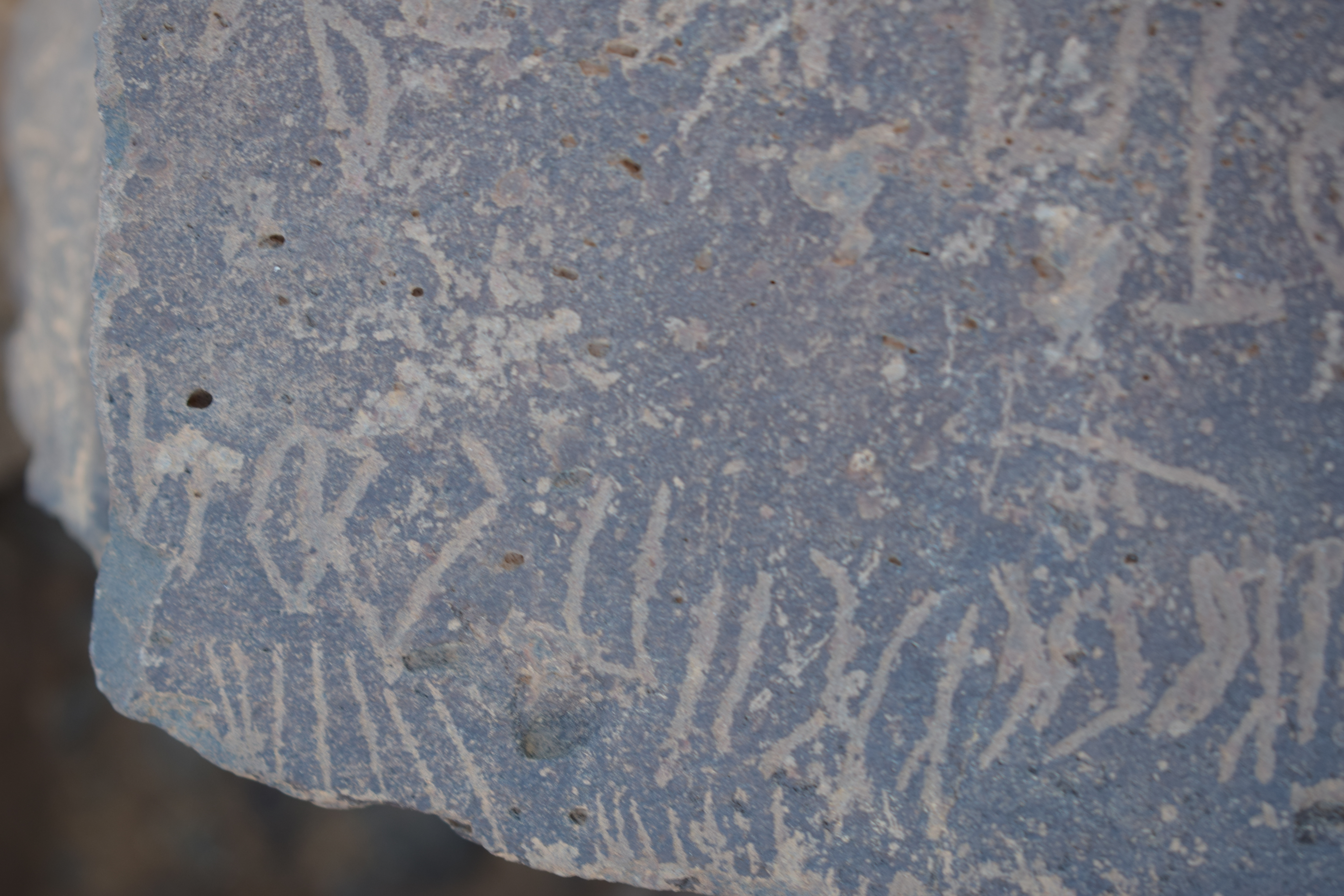 Image of siglum BES20 1639