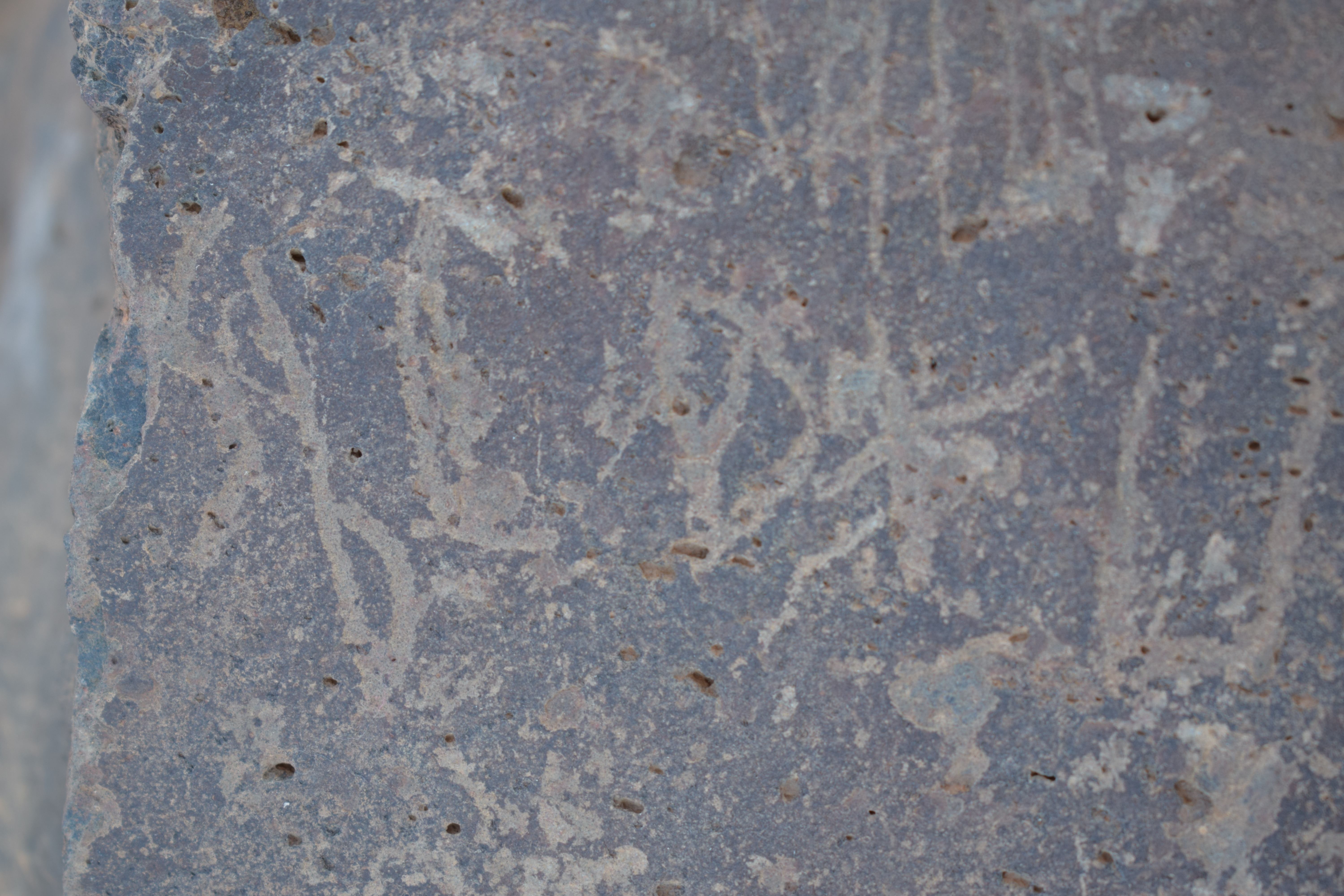 Image of siglum BES20 1639