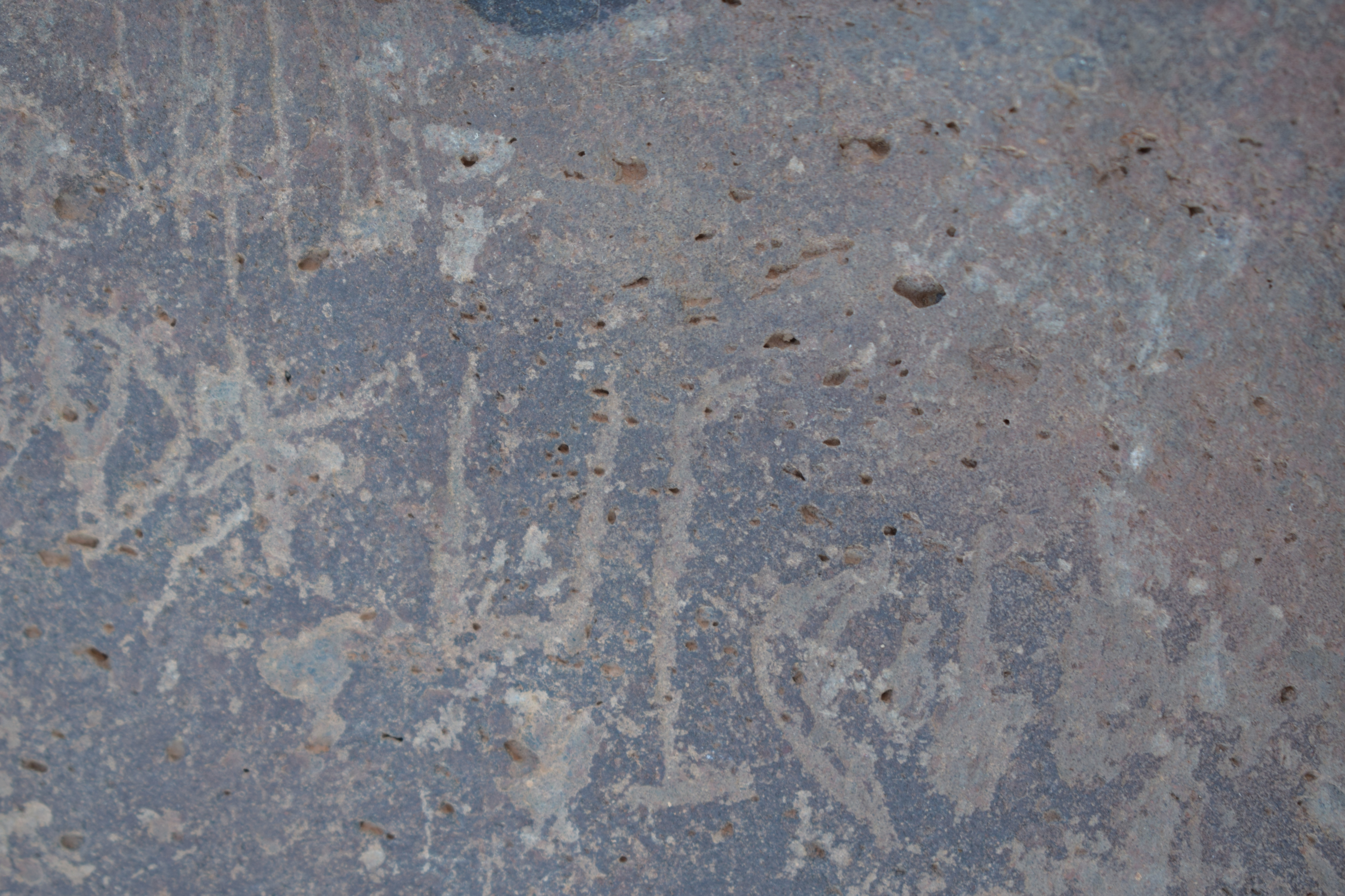 Image of siglum BES20 1639