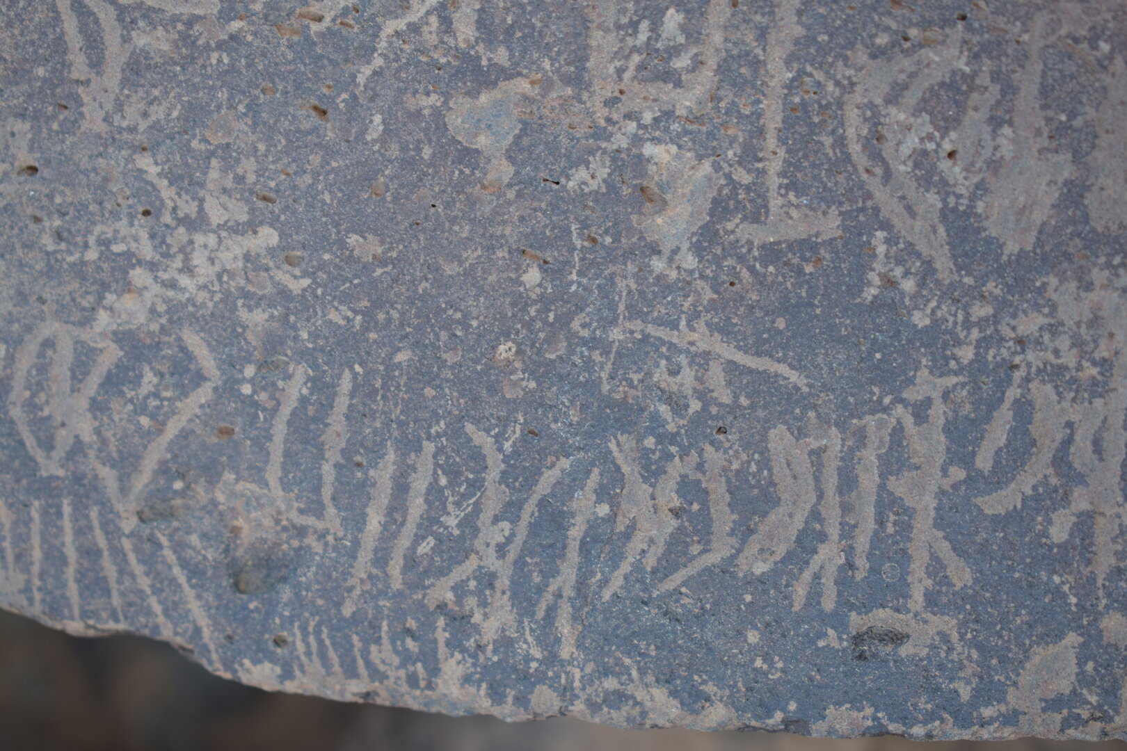 Image of siglum BES20 1639