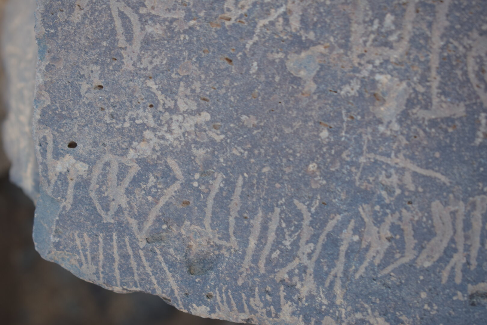 Image of siglum BES20 1639