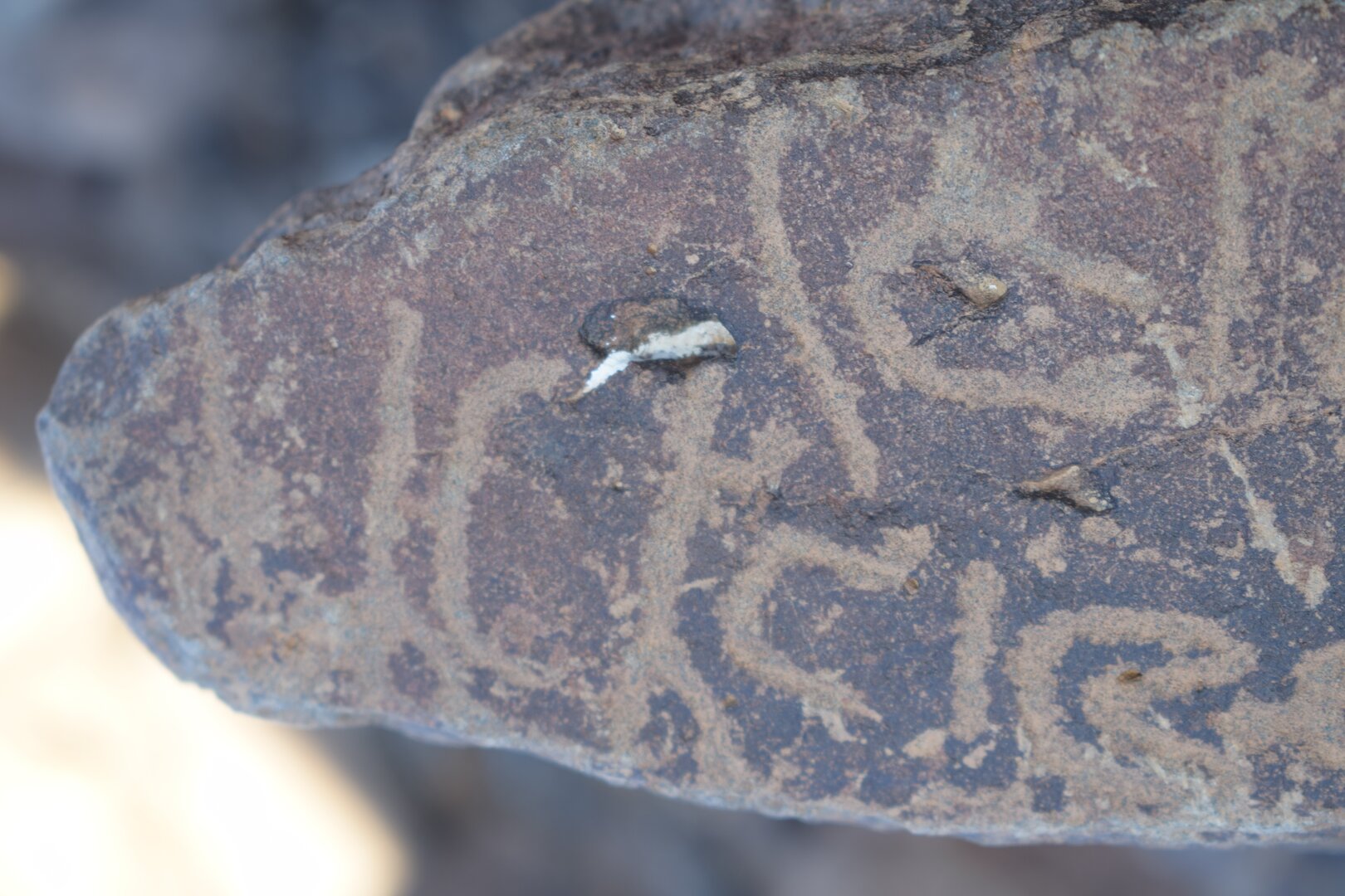 Image of siglum BES20 1640