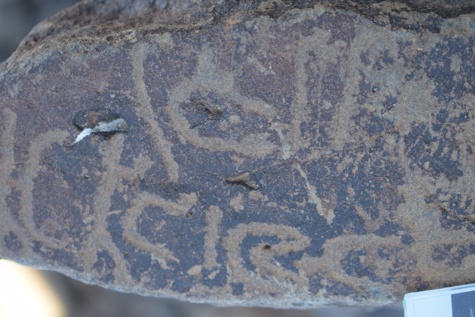 Image of siglum BES20 1640