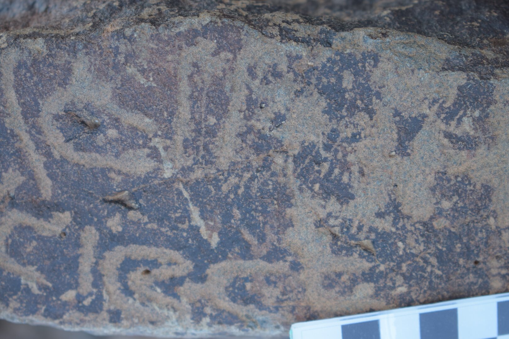 Image of siglum BES20 1640