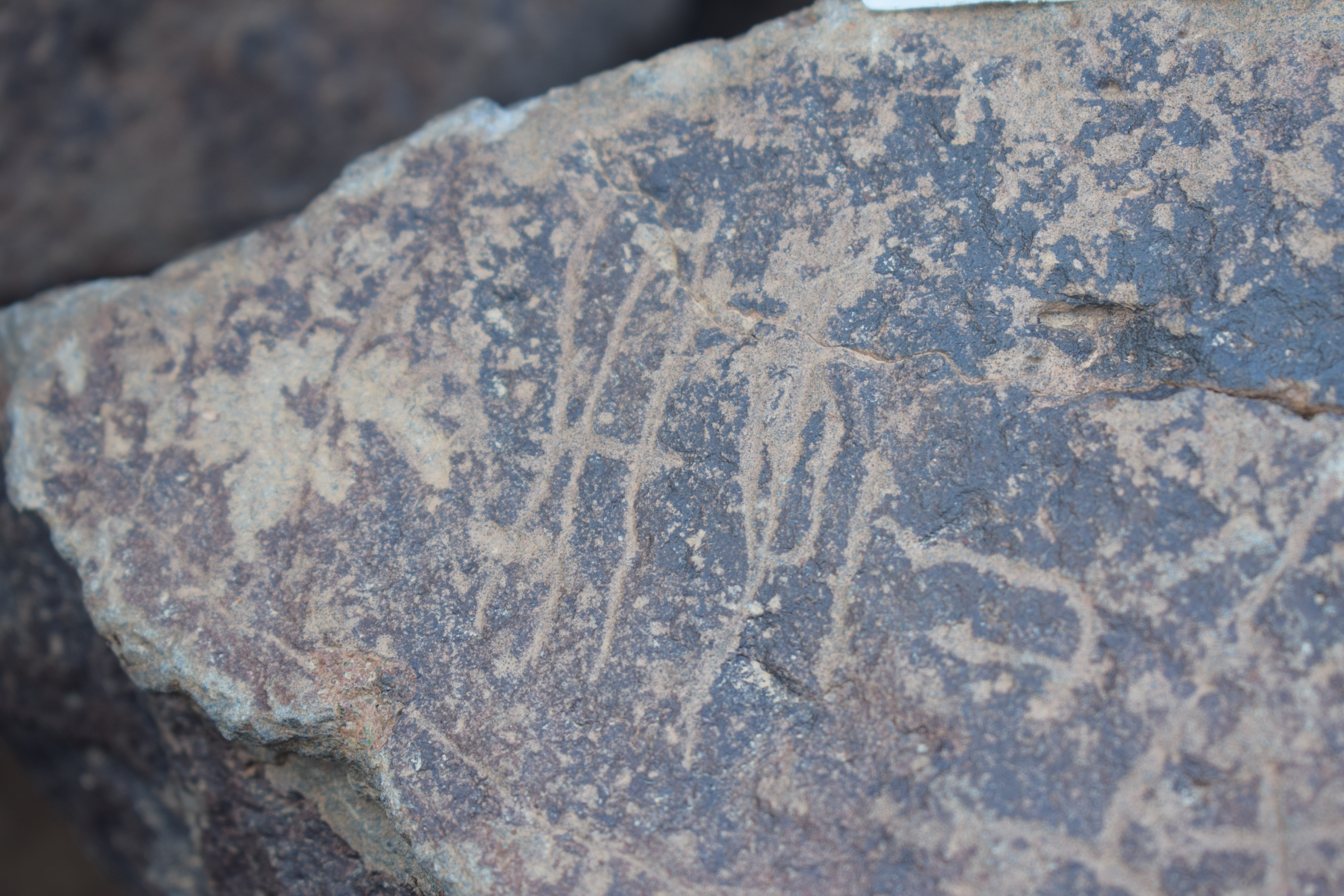 Image of siglum BES20 1641