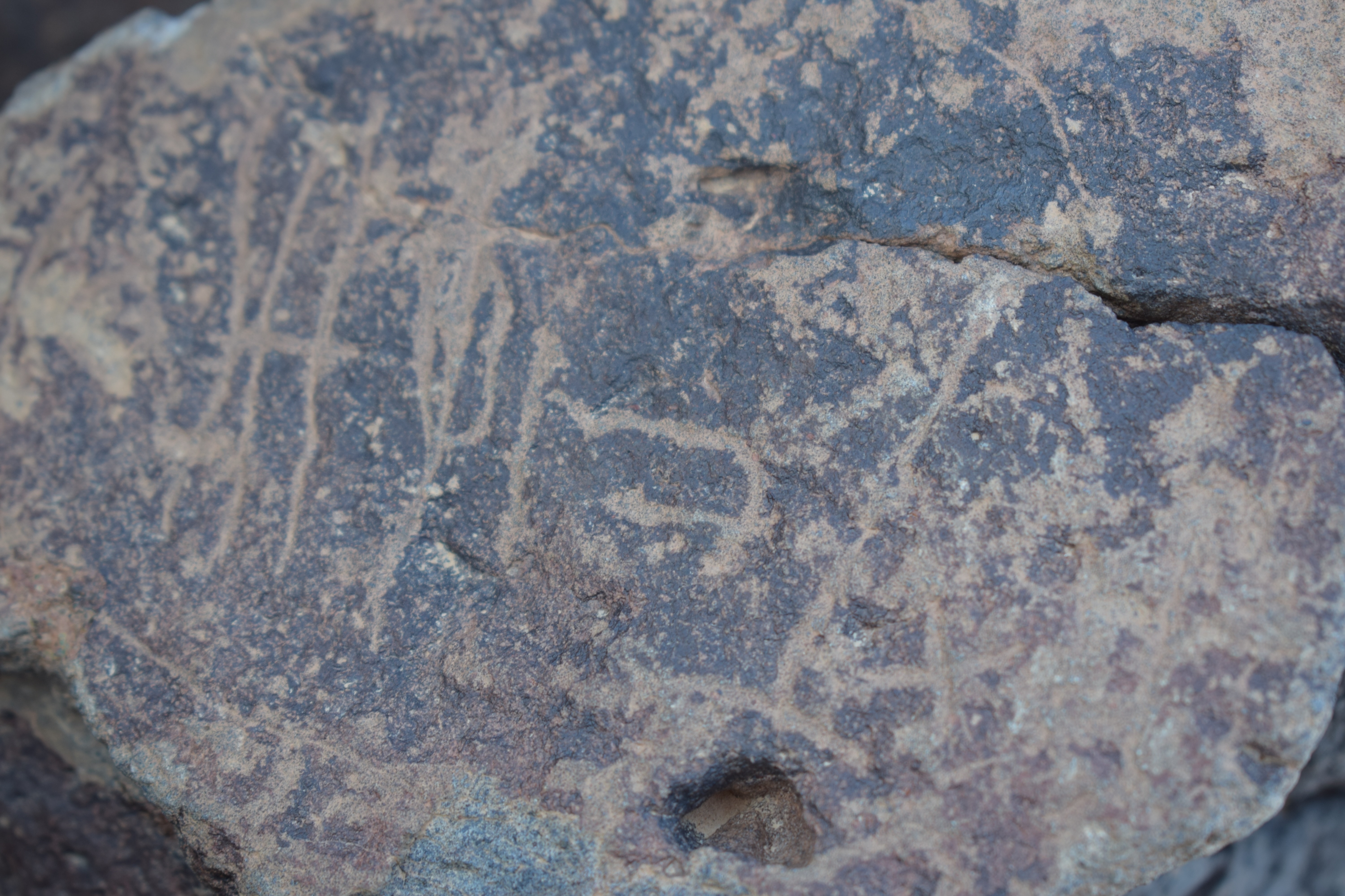 Image of siglum BES20 1641