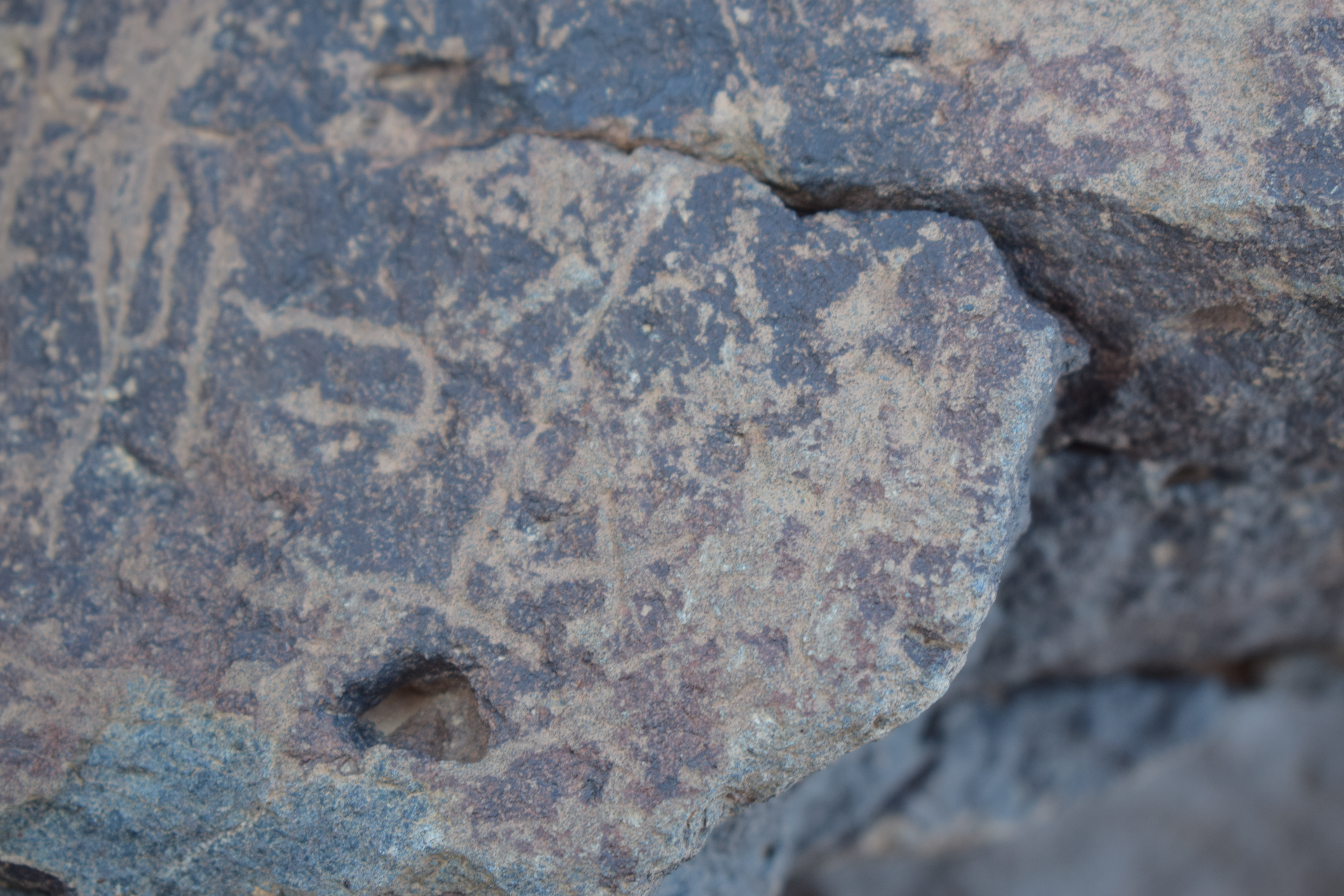 Image of siglum BES20 1641