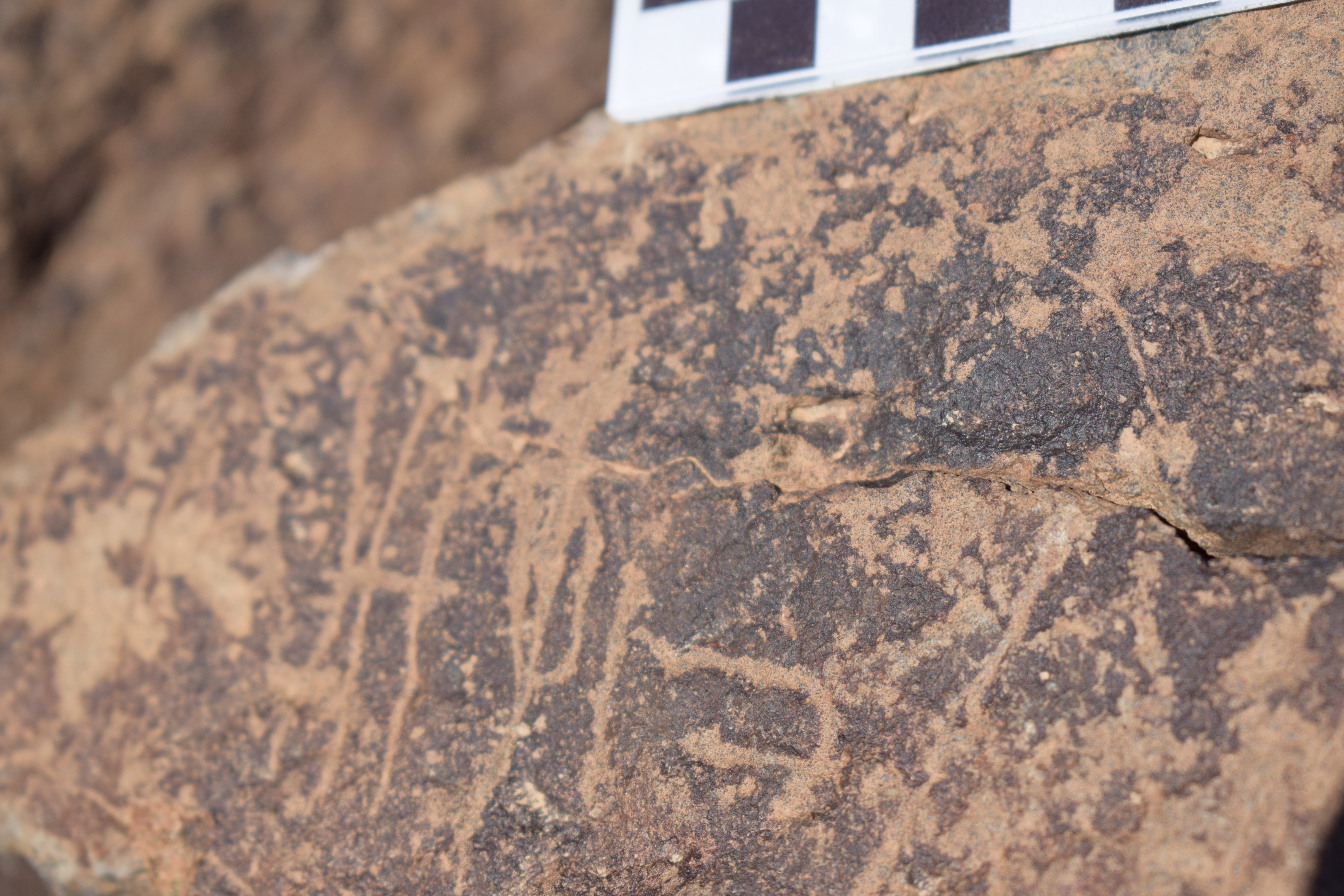 Image of siglum BES20 1641