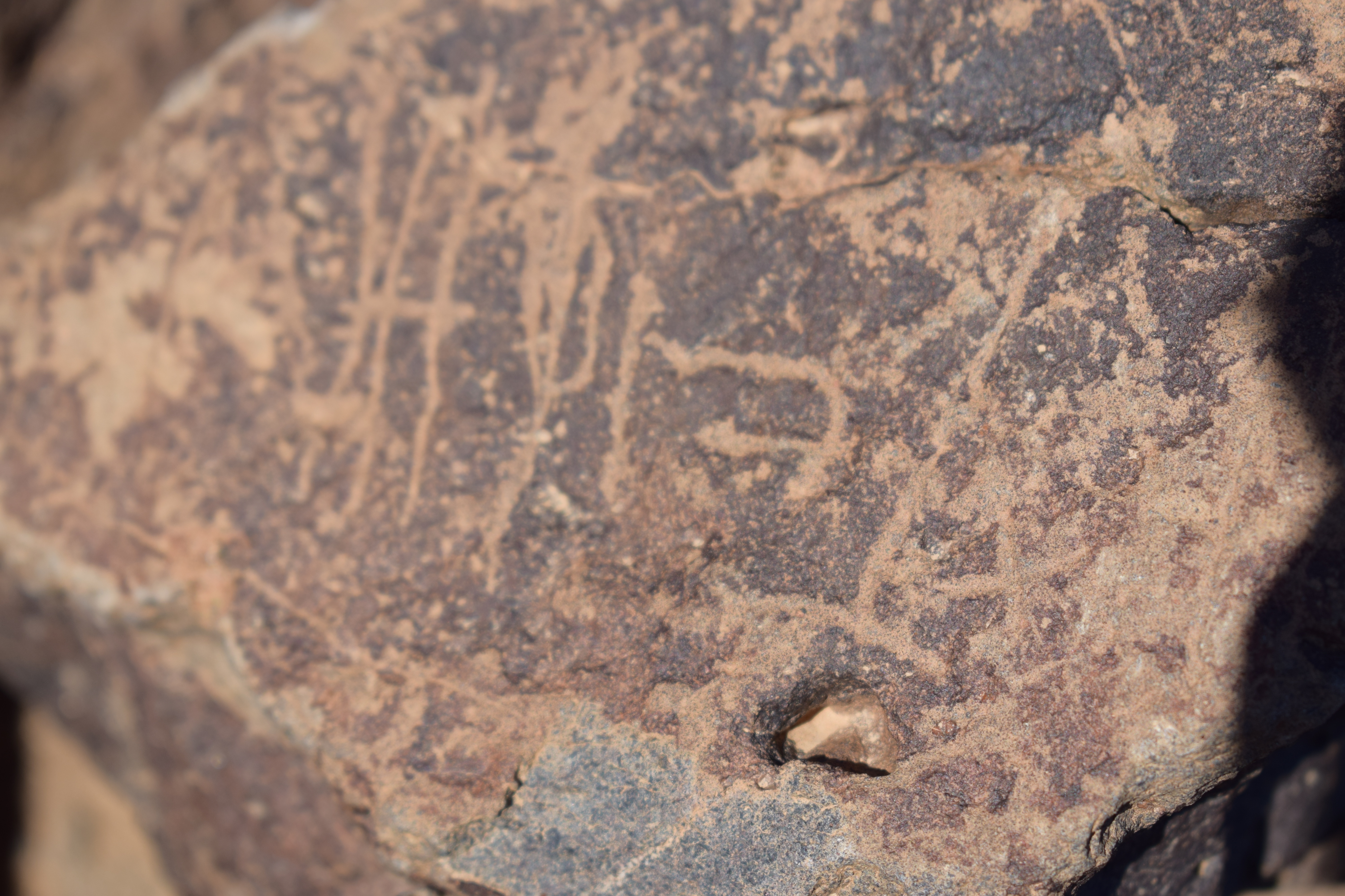 Image of siglum BES20 1641