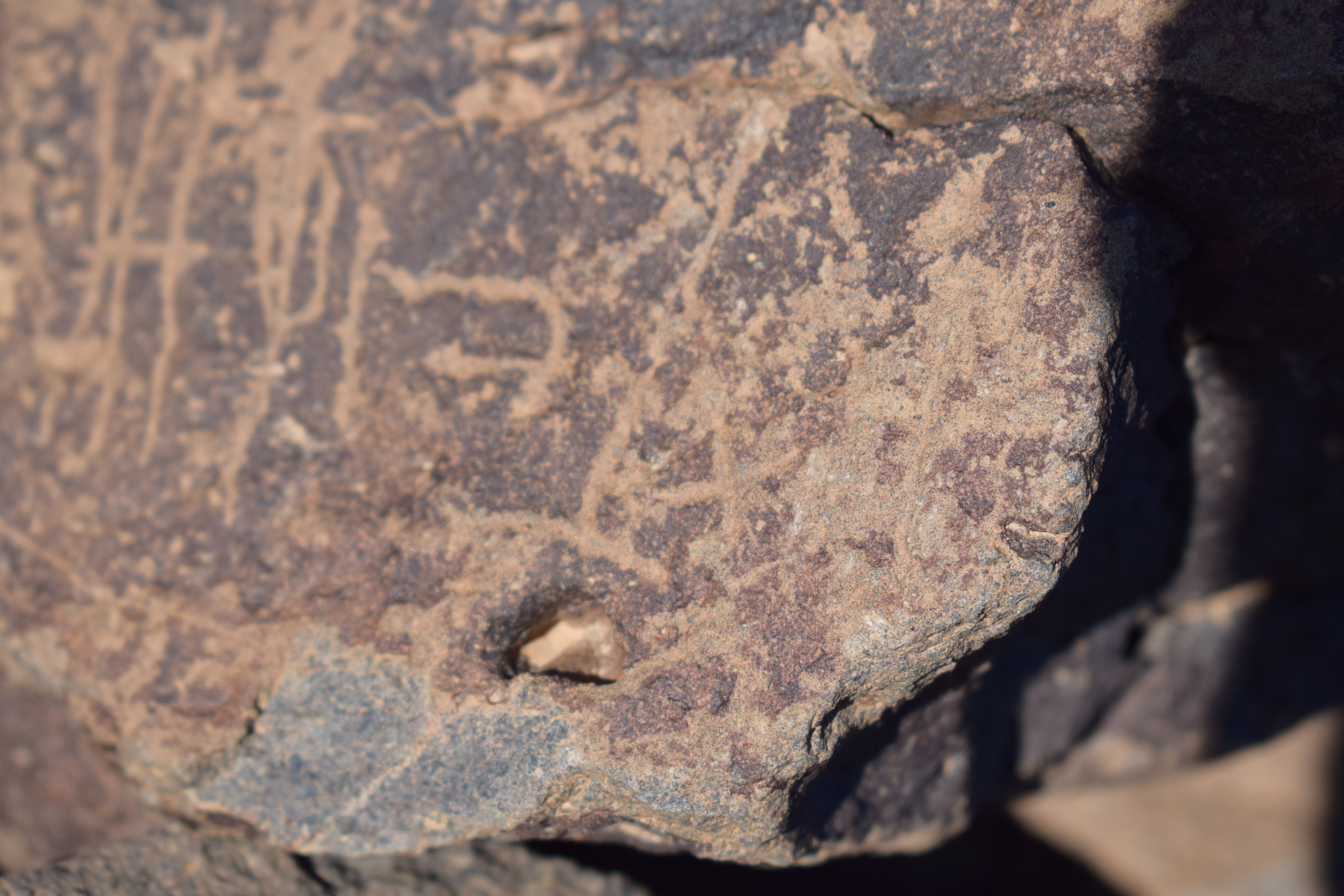 Image of siglum BES20 1641