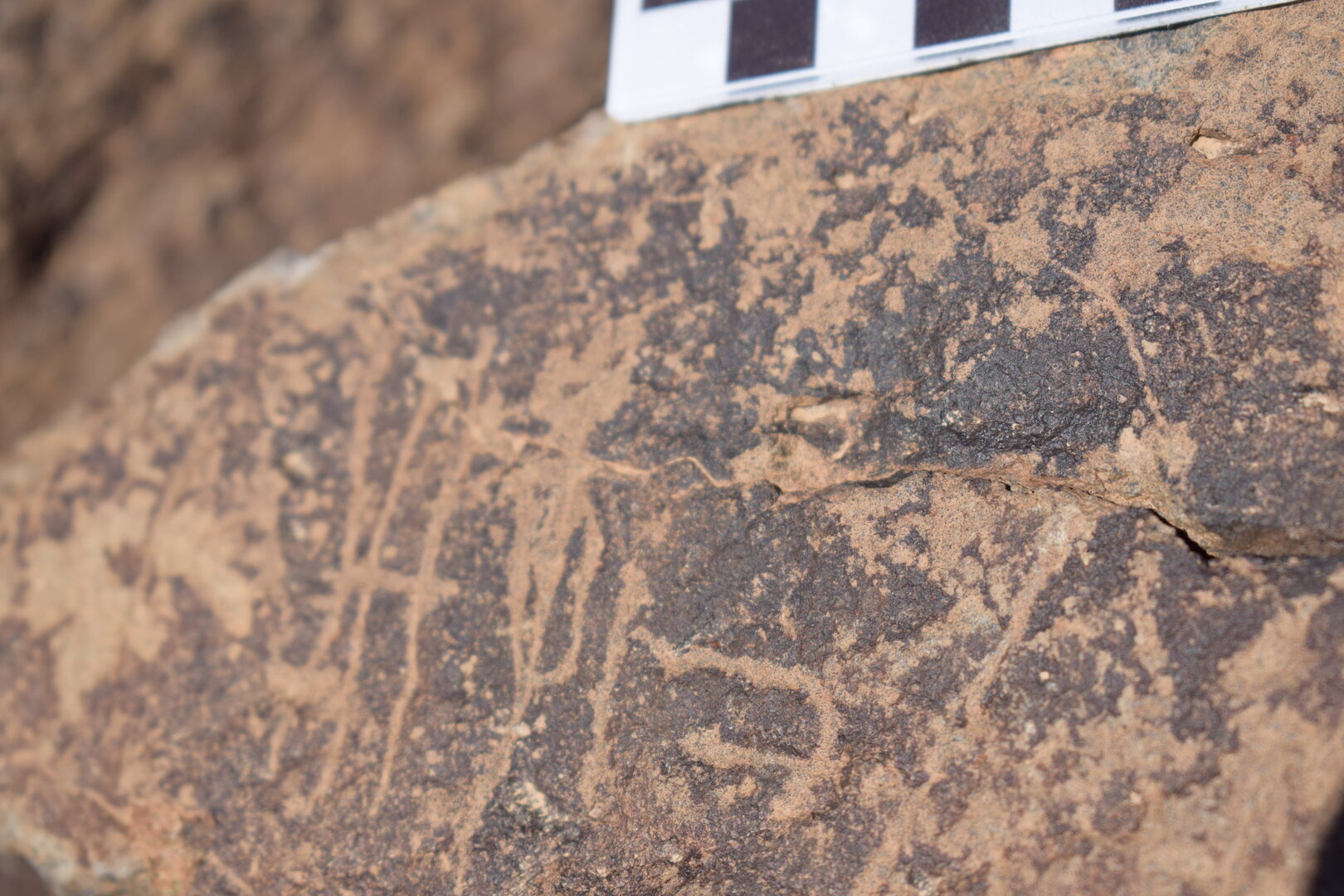 Image of siglum BES20 1641