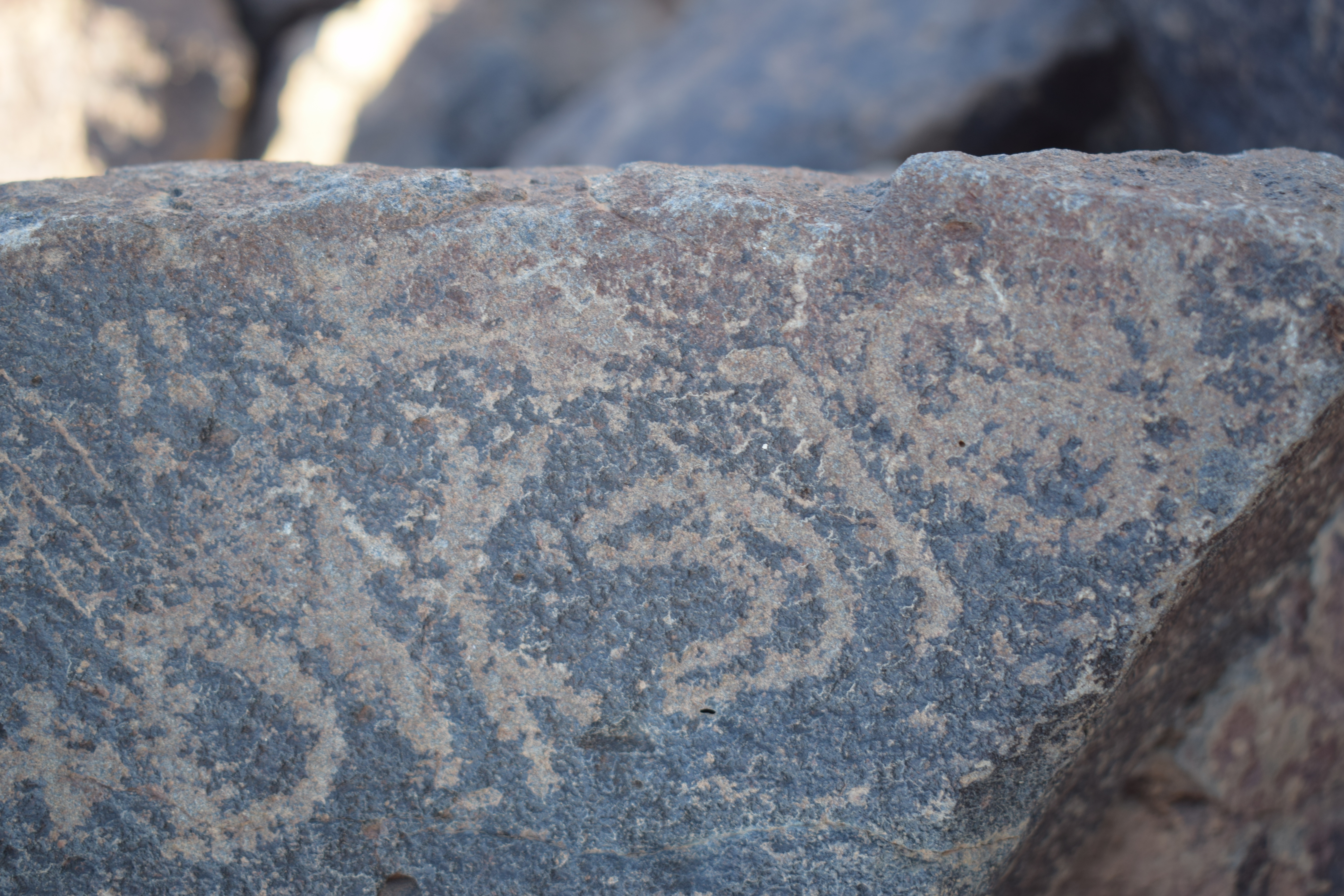 Image of siglum BES20 1644