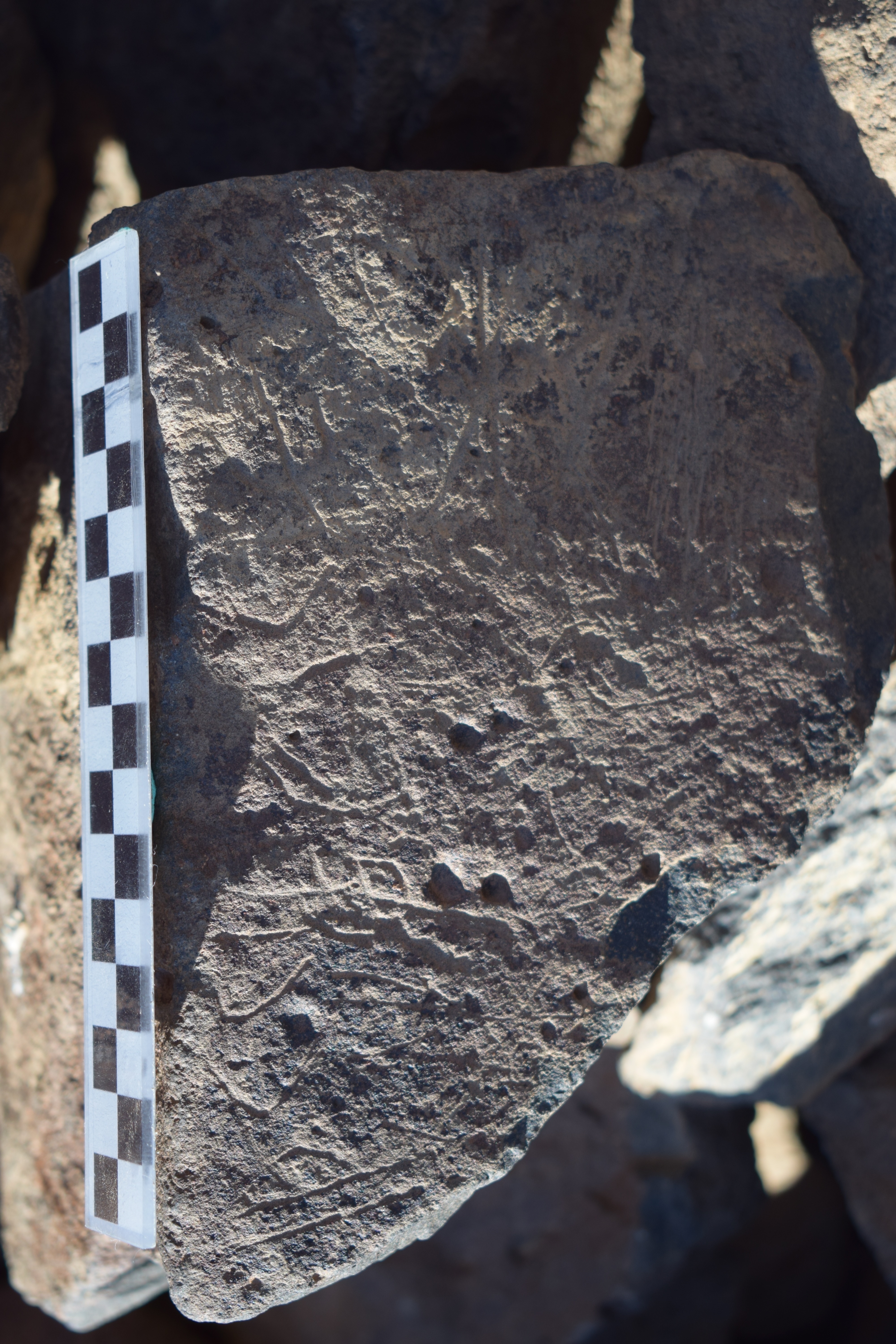 Image of siglum BES20 1645